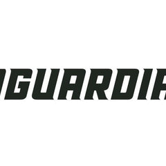 Collection image for: Gaurdian.