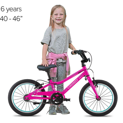 16 Inch Bike