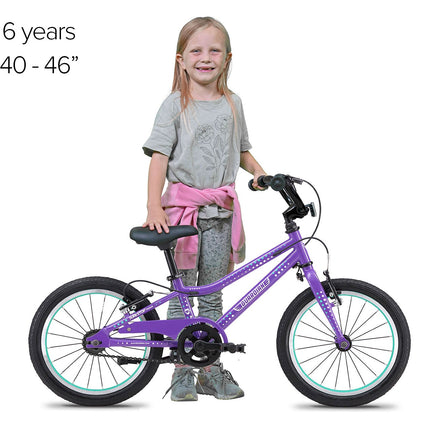 16 Inch Bike