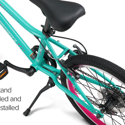 20 Inch Large Bike