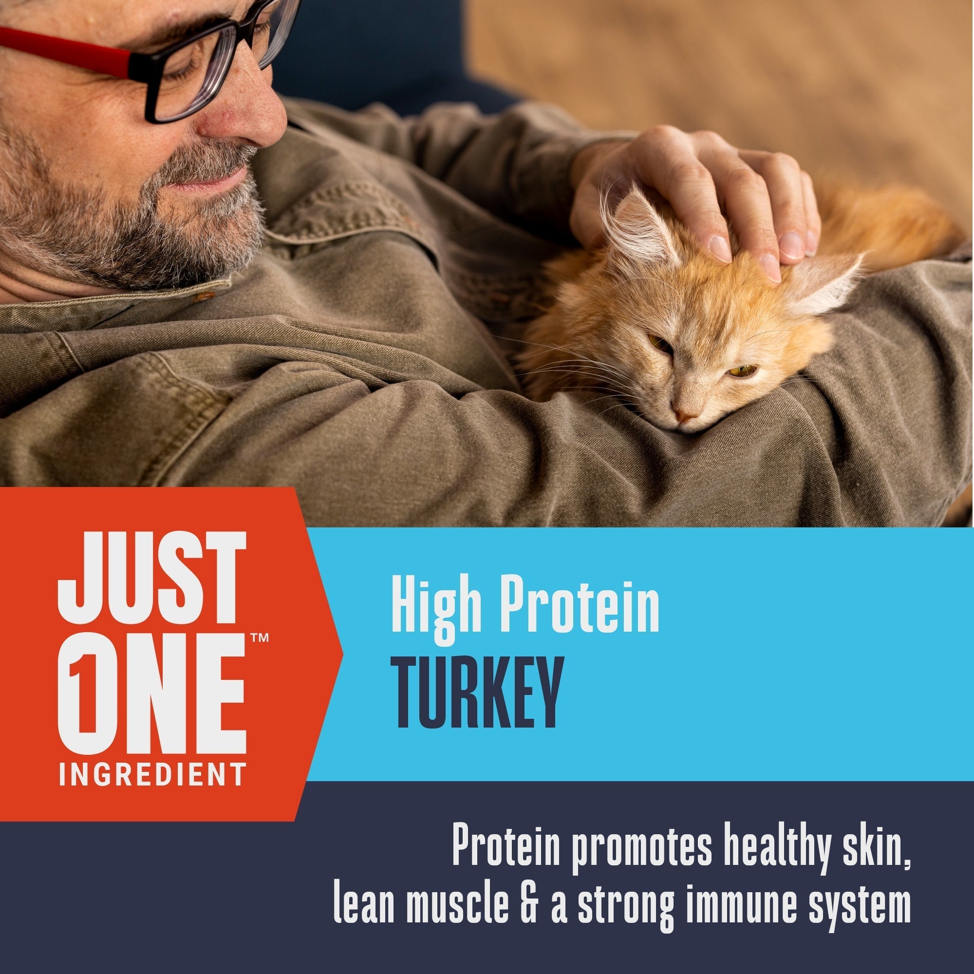 Just One Turkey Cat Treats – Human Grade, Picky Eater Approved, Made in Our Own Kitchens