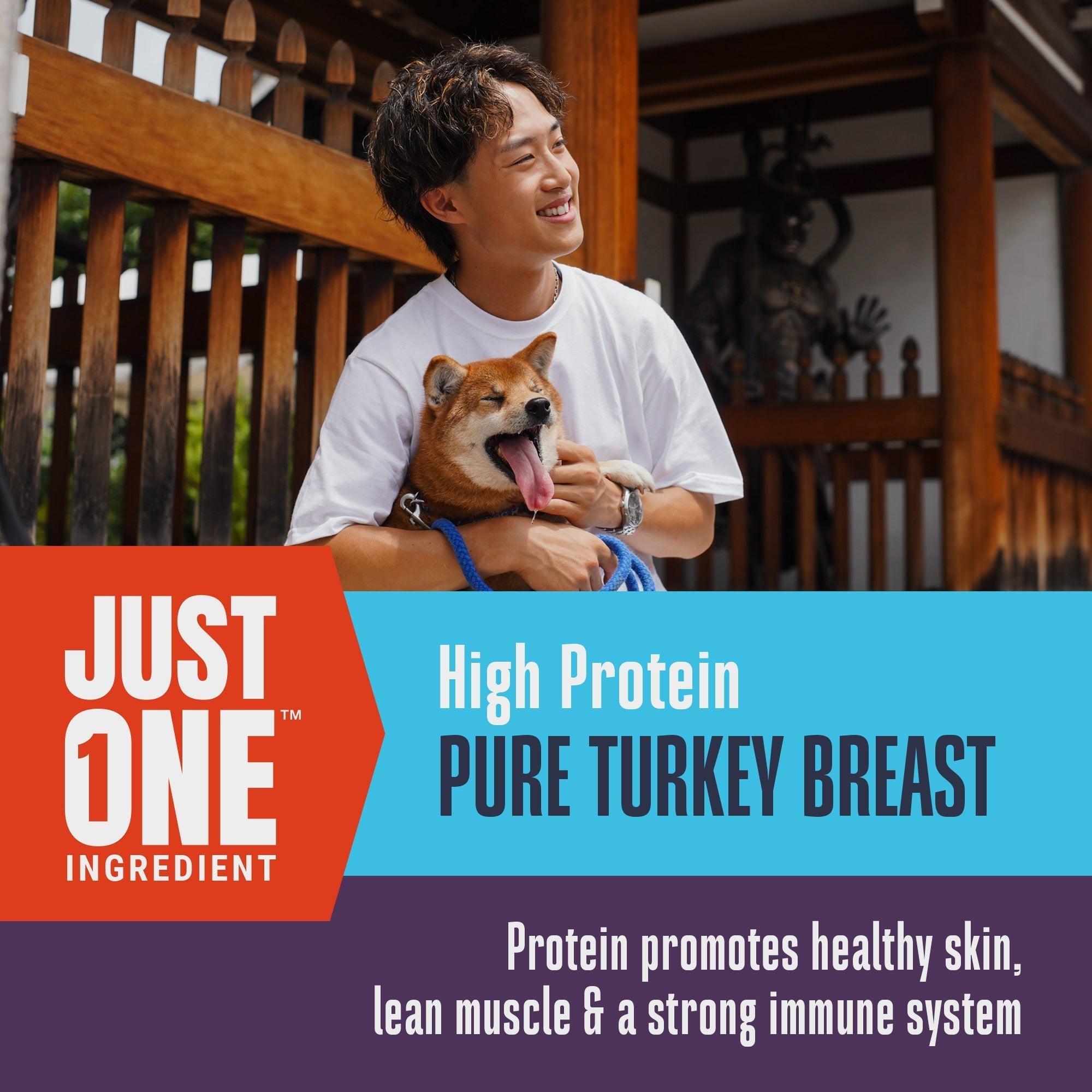 Just One Ingredient Turkey Treats For Dogs.  Human Grade and Grain Free - Made In Our Own Kitchen