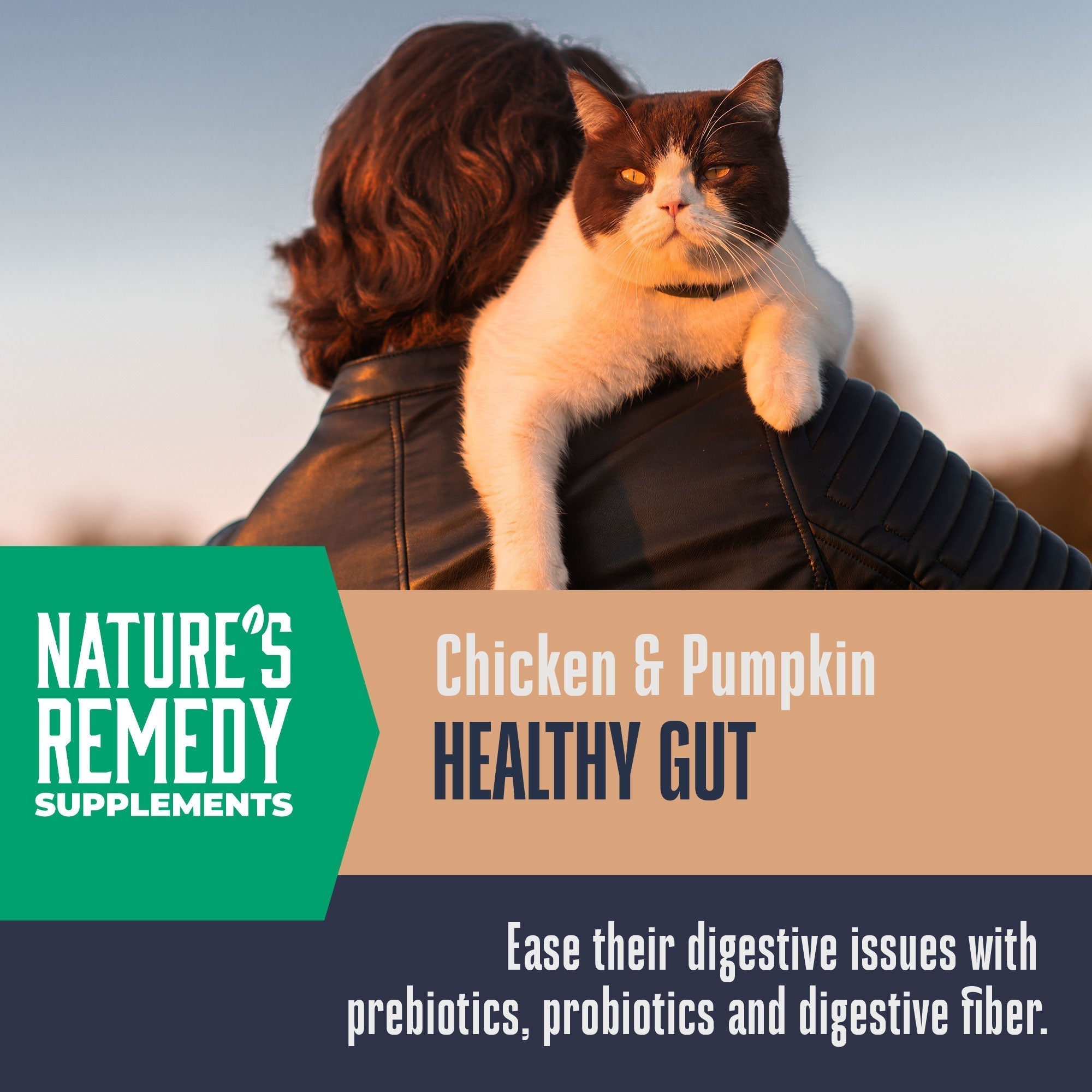 Nature’s Remedy Healthy Gut & Digestive Support.  Human-Grade, Grain-Free, Whole Food Supplement for Cats - Made in Our Own Kitchens