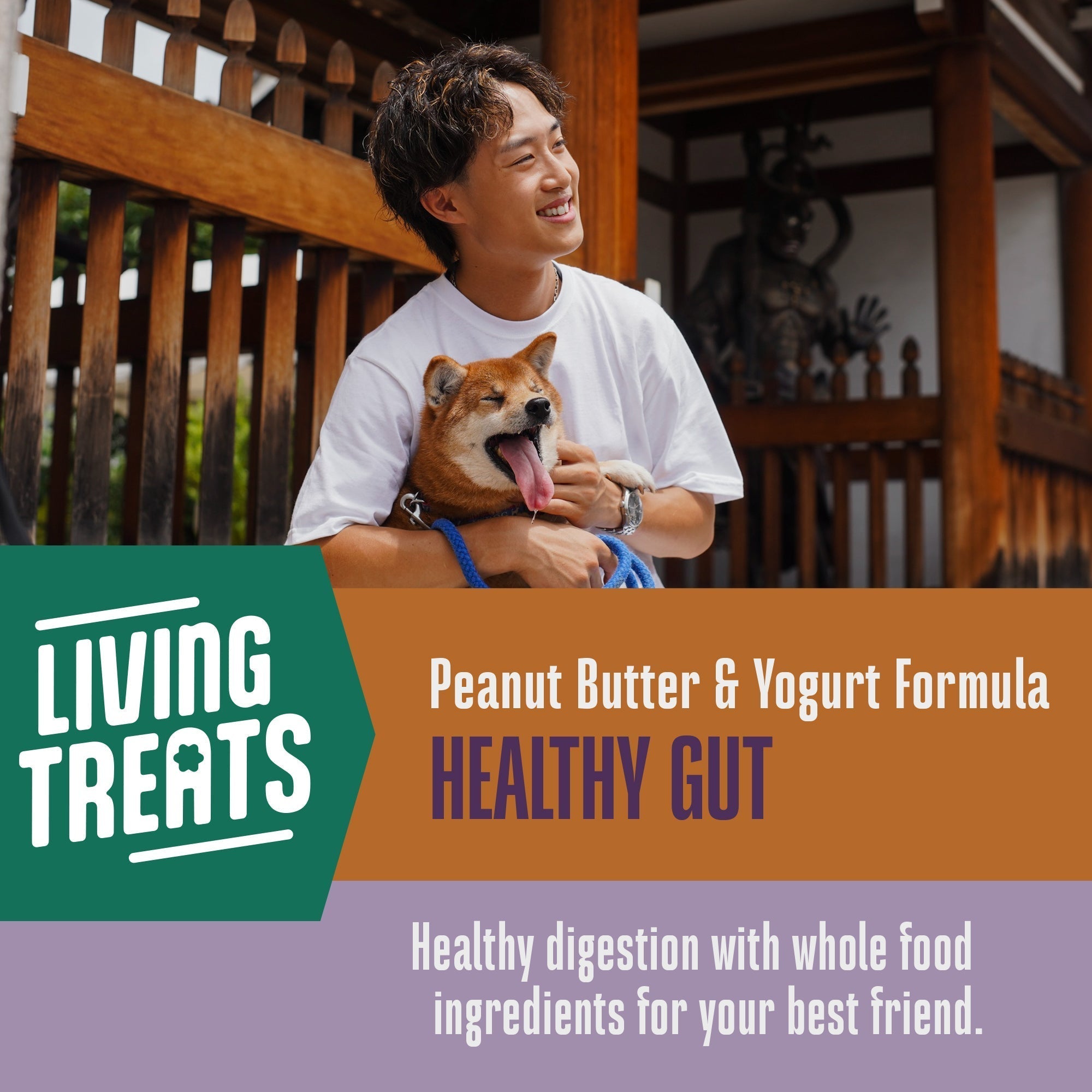 Living Treats – Peanut Butter and Yogurt Recipe Probiotic Treats For Dogs.  Human Grade and Grain Free - Made In Our Own Kitchen