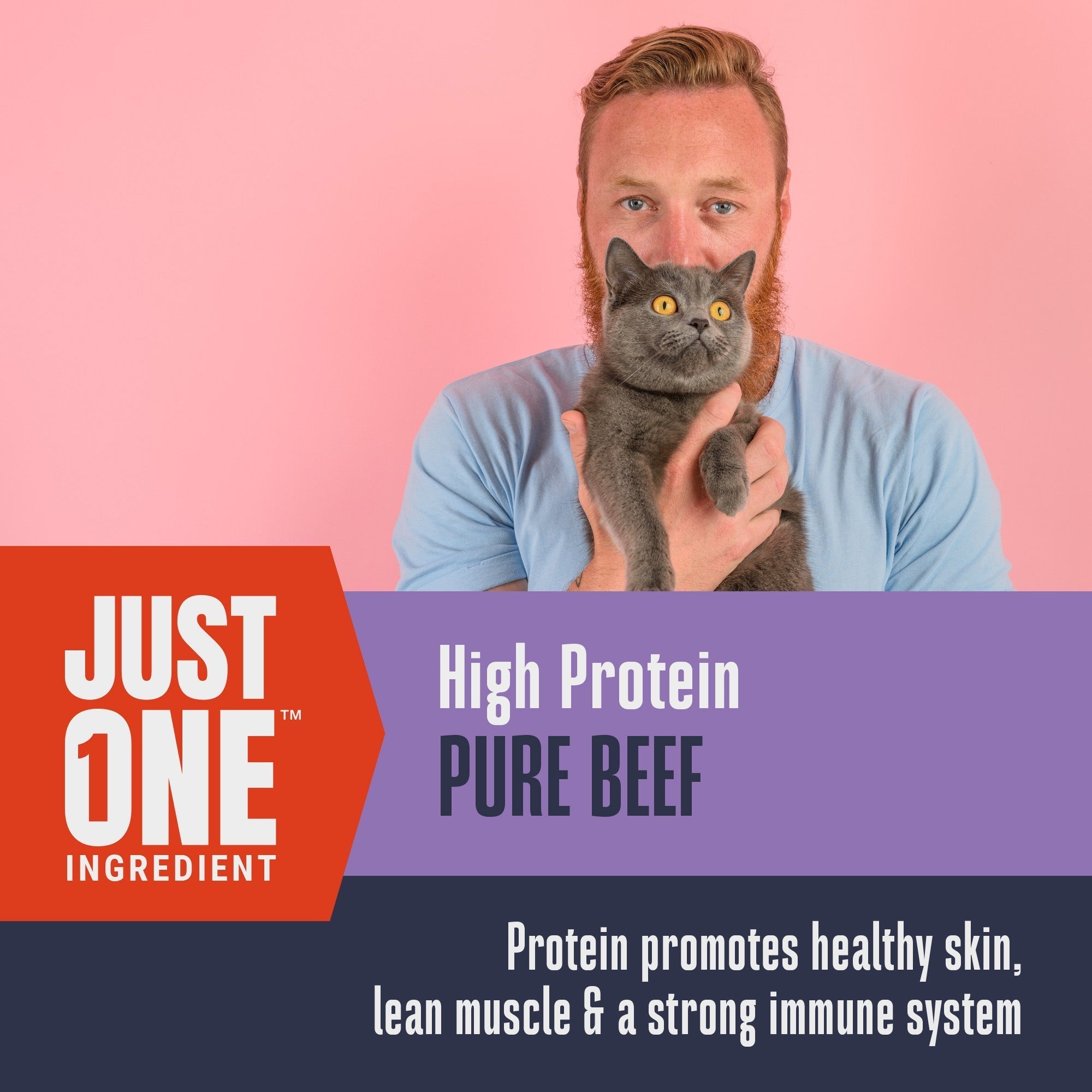 Just One Beef Cat Treats – Human Grade, Picky Eater Approved, Made in Our Own Kitchens