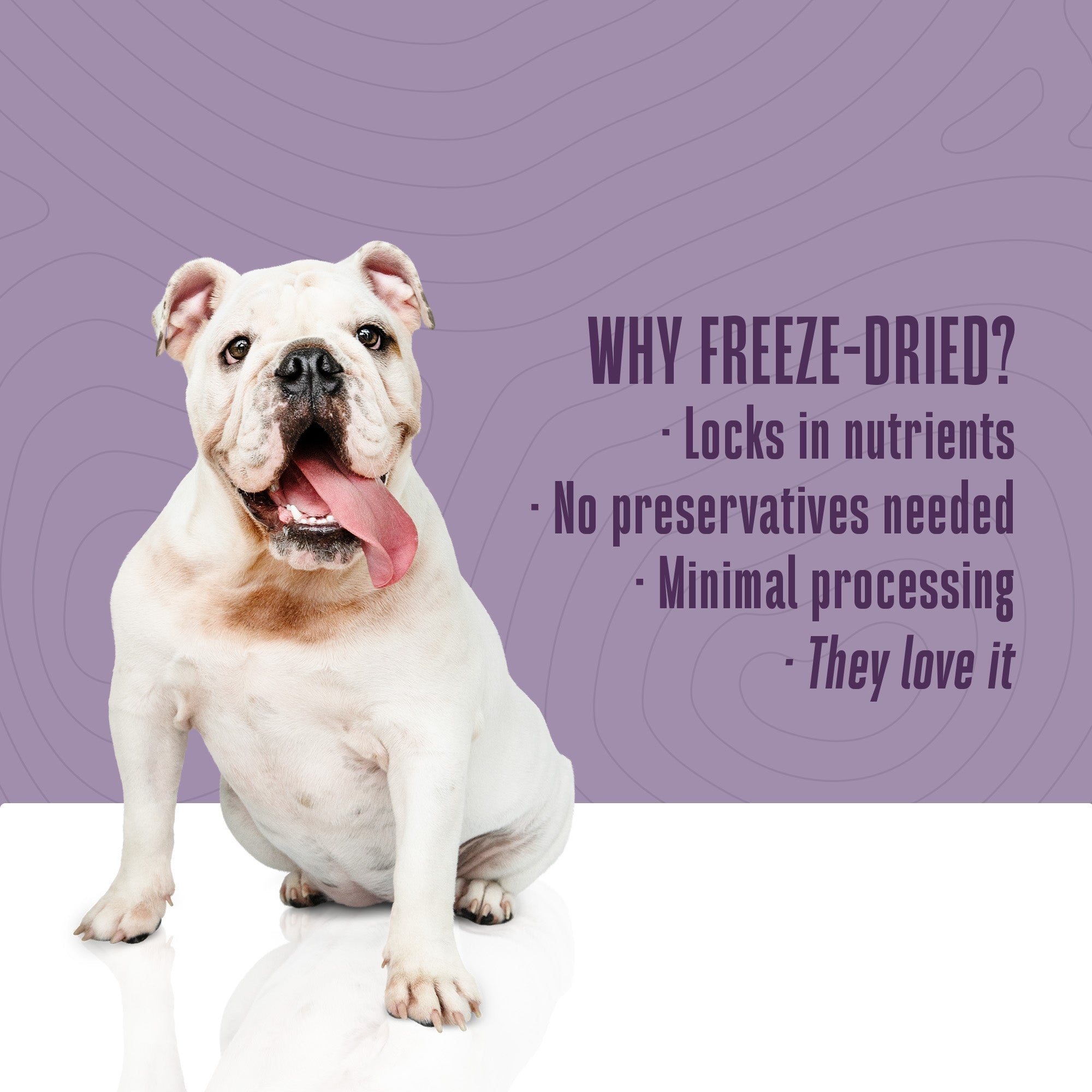 Just One Ingredient Beef Liver Treats For Dogs.  Human Grade and Grain Free - Made In Our Own Kitchen