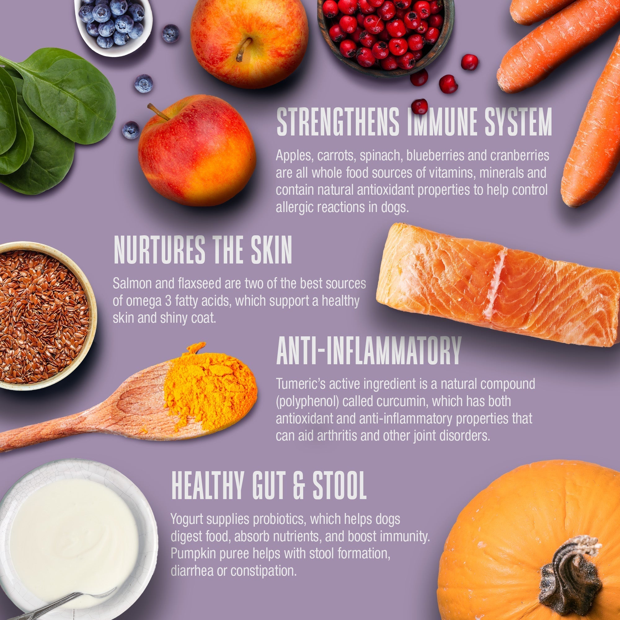 Nature’s Remedy Whole Body Health Support.  Human-Grade, Grain-Free, Whole Food Supplement for Dogs - Made in Our Own Kitchens