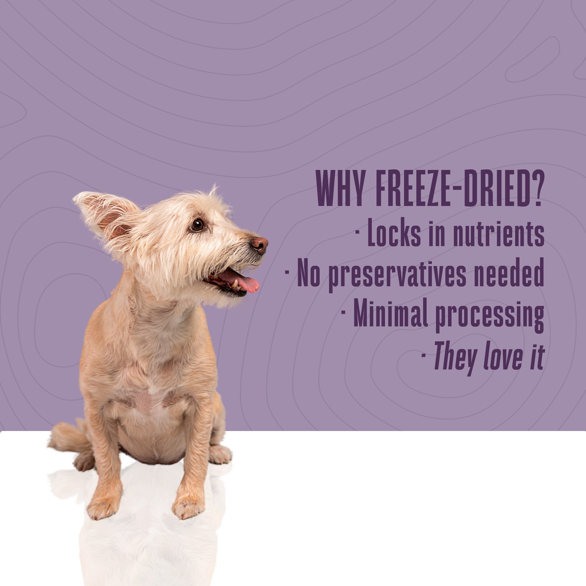 Just One Ingredient Variety Pack for Dogs:  Human Grade and Grain Free - Made In Our Own Kitchen. Save 10% + Free Shipping