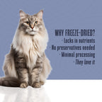Just One Ingredient Variety Pack for Cats: Made In Our Own Kitchen.  Save 10% + Free Shipping
