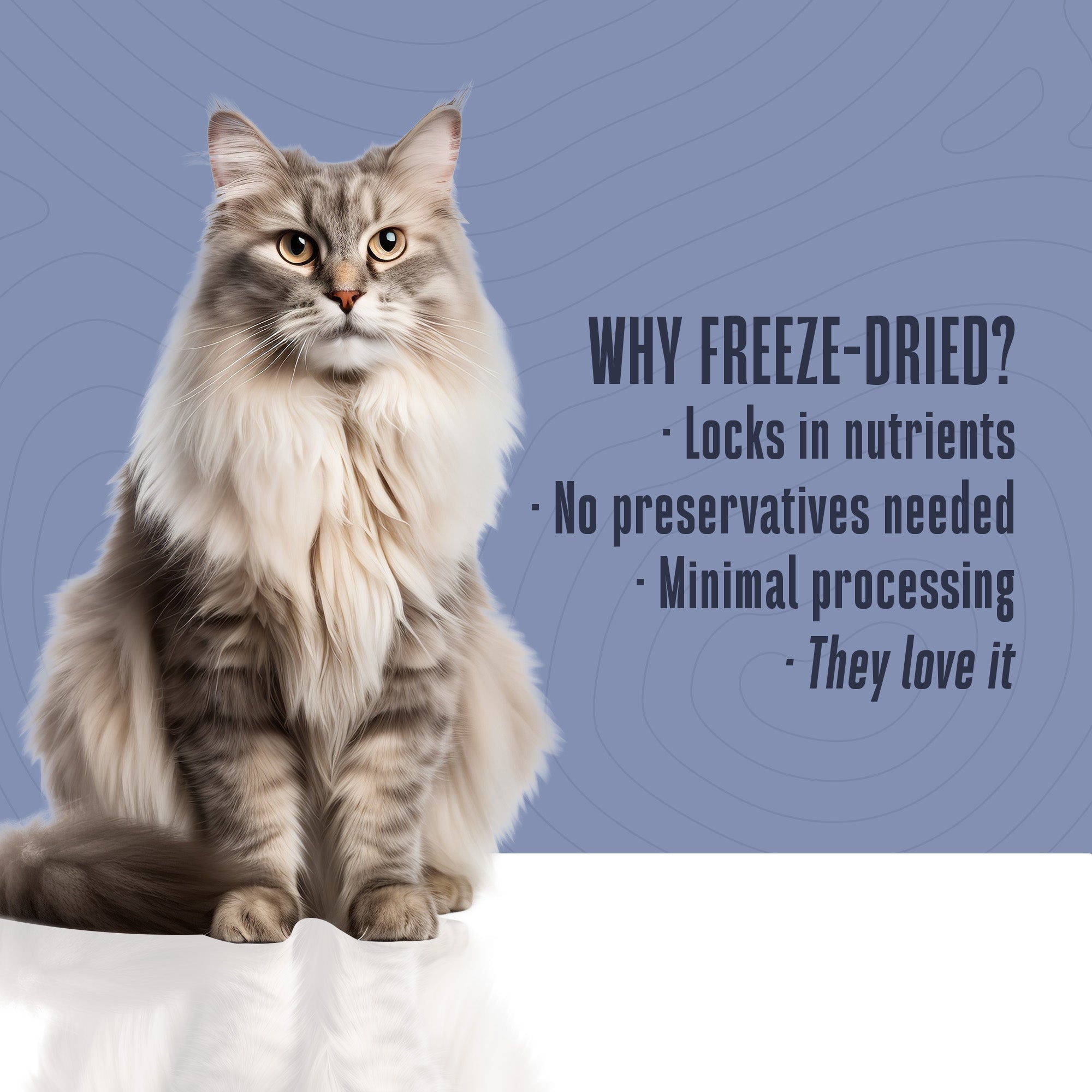 Just One Ingredient Variety Pack for Cats: Made In Our Own Kitchen.  Save 10% + Free Shipping