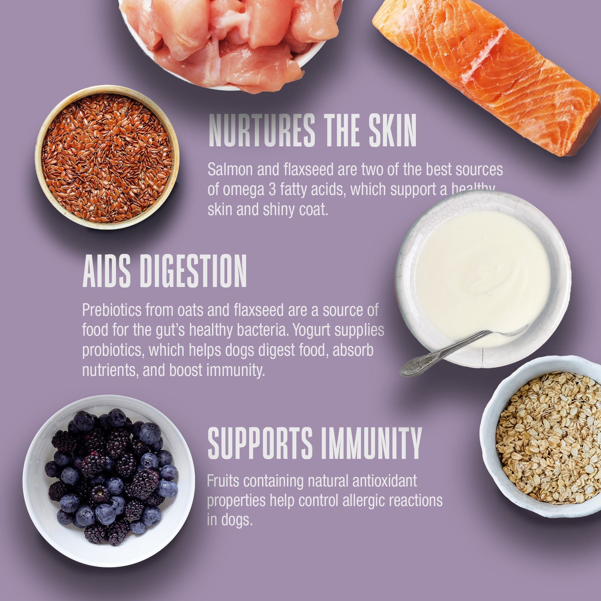 Nature’s Remedy Healthy Skin & Allergy Support.  Human-Grade, Grain-Free, Whole Food Supplement for Dogs - Made in Our Own Kitchens