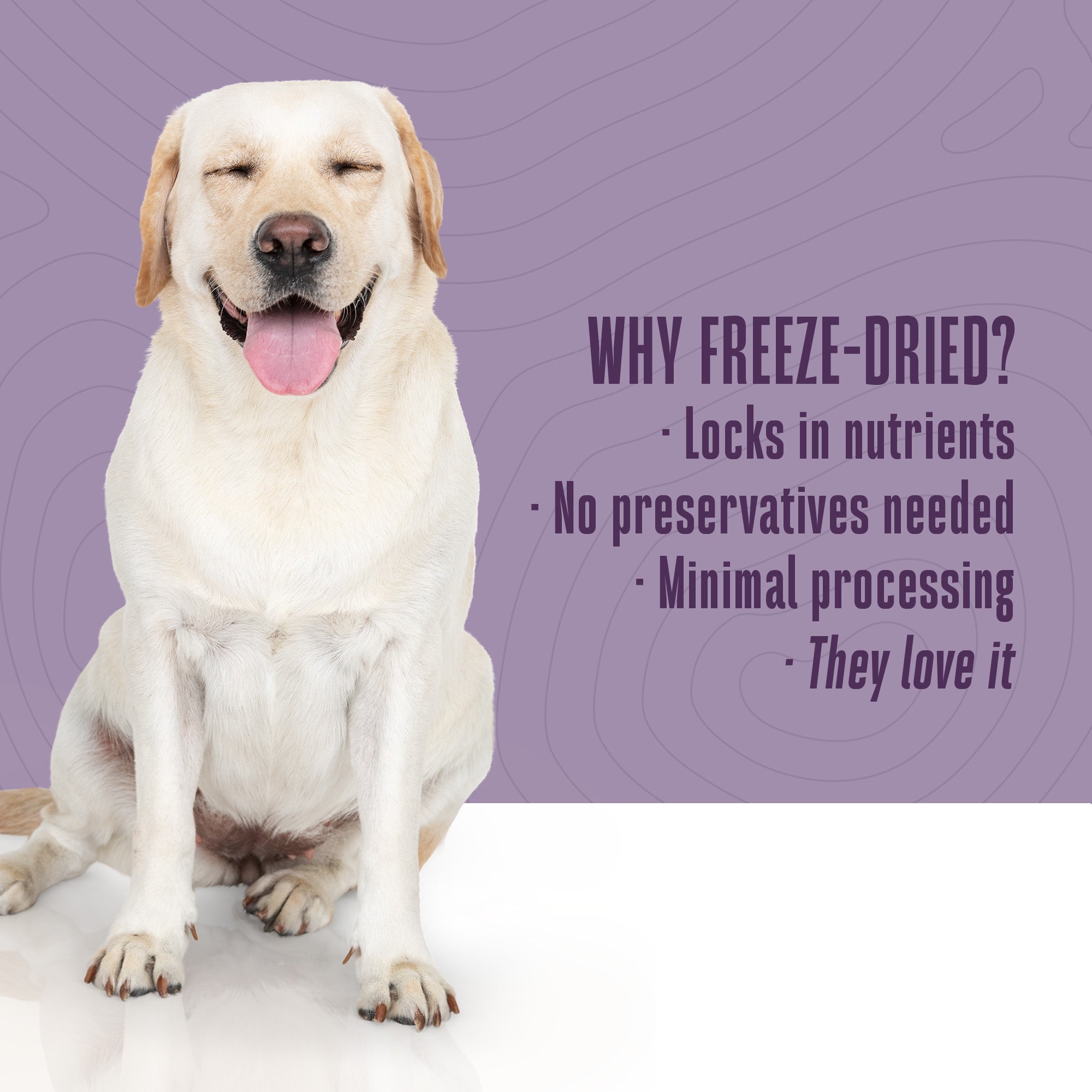 Just One Ingredient Salmon Treats For Dogs.  Human Grade and Grain Free - Made In Our Own Kitchen