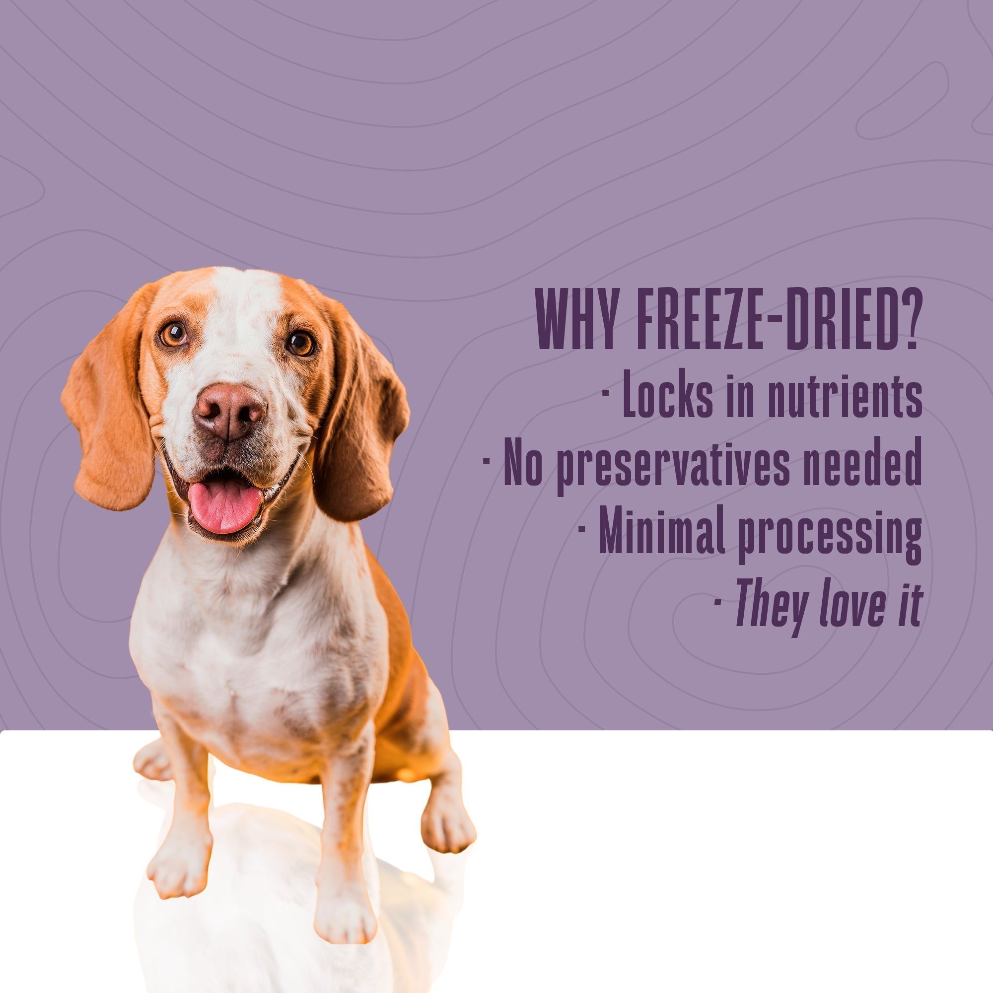 Just One Ingredient Turkey Treats For Dogs.  Human Grade and Grain Free - Made In Our Own Kitchen