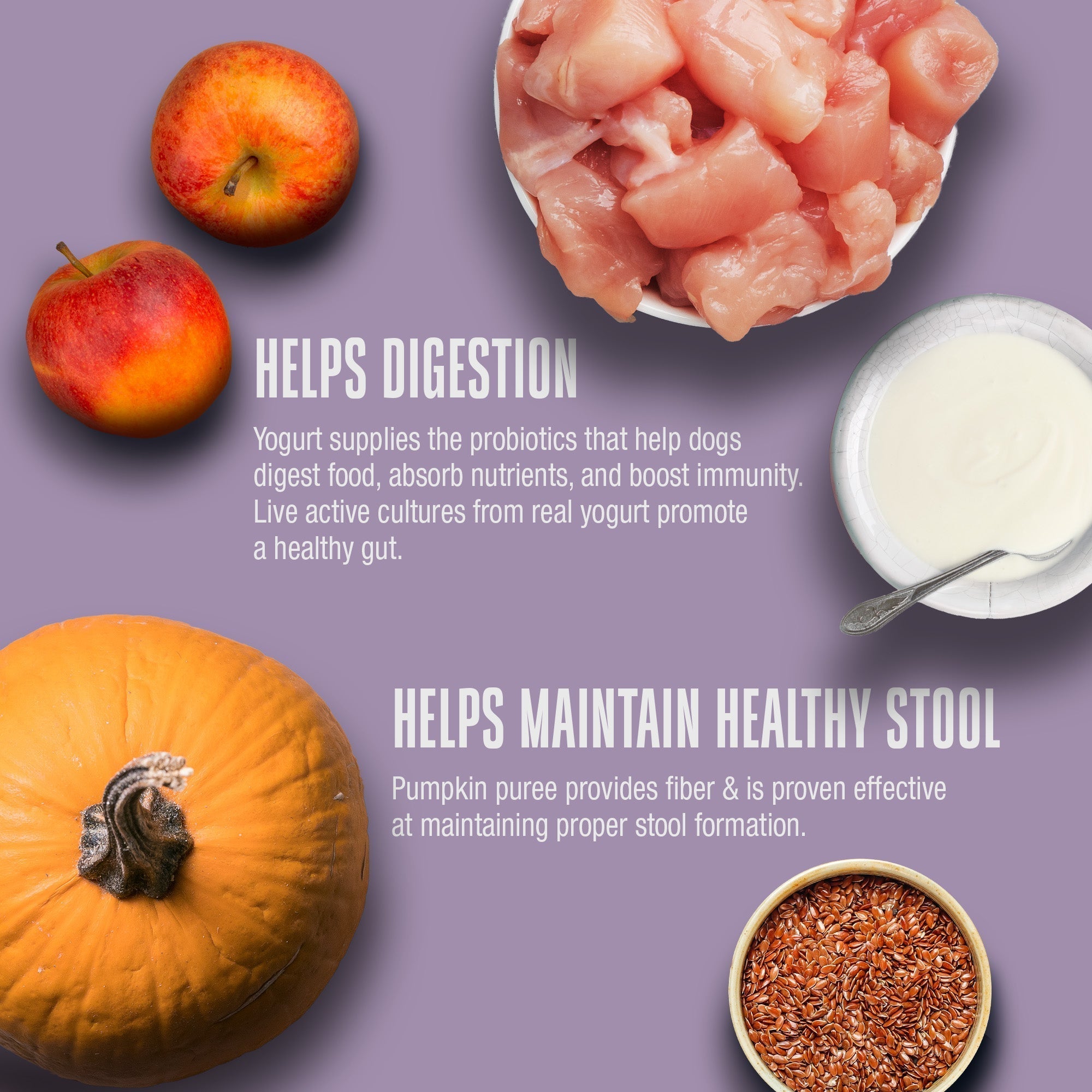 Living Treats – Pumpkin and Yogurt Recipe Probiotic Treats For Dogs.  Human Grade and Grain Free - Made In Our Own Kitchen