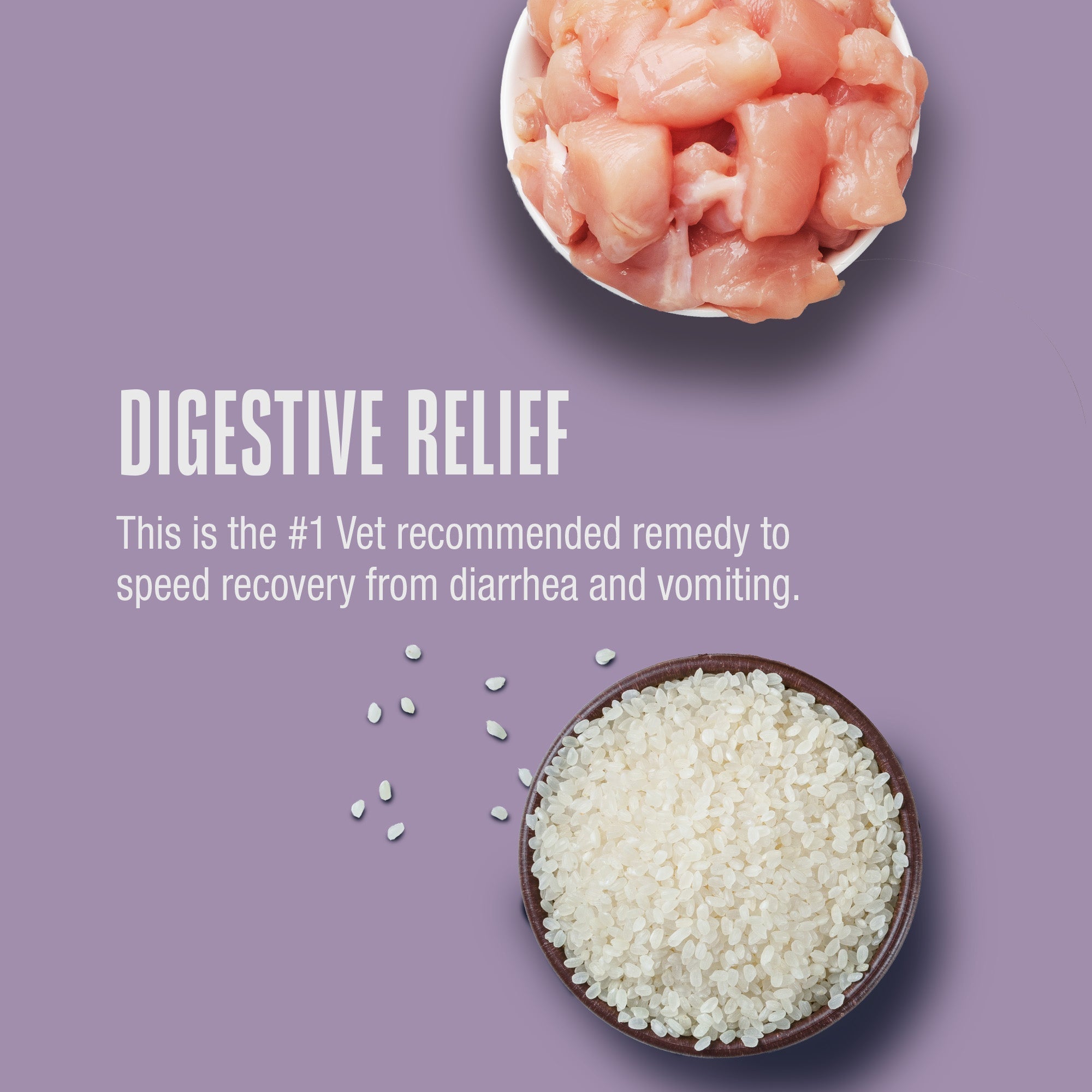 Nature’s Remedy Chicken & Rice for Dogs.  Human-Grade Interim Diet for Stomach Upset - Made in Our Own Kitchens