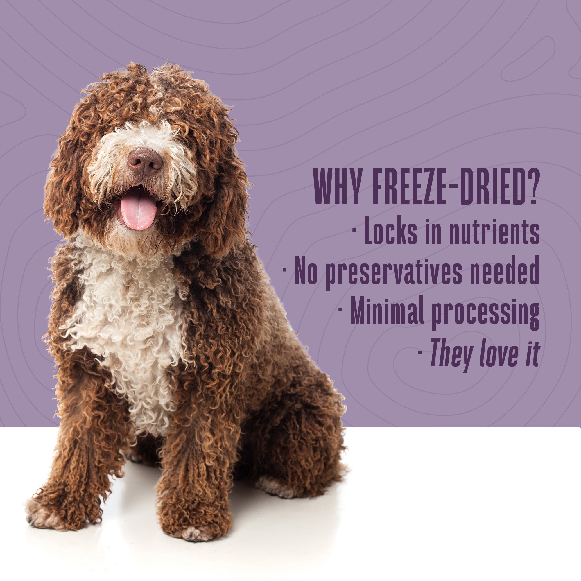 Just One Ingredient Chicken Treats For Dogs.  Human Grade and Grain Free - Made In Our Own Kitchen