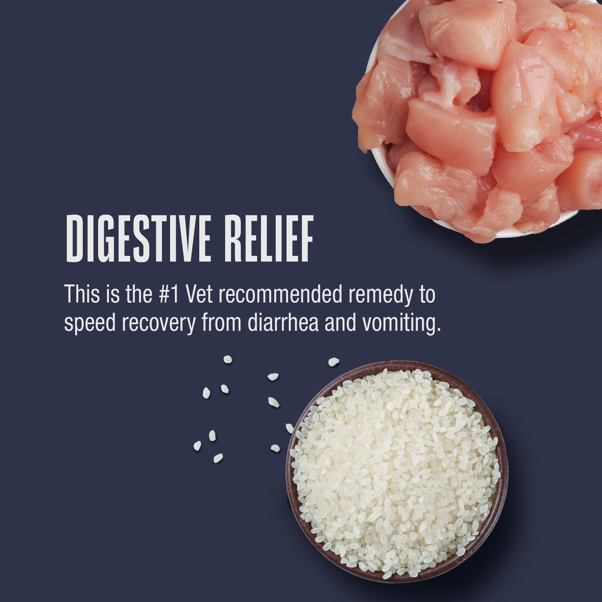 Nature’s Remedy Chicken & Rice for Cats.  Human-Grade Interim Diet for Stomach Upset - Made in Our Own Kitchens