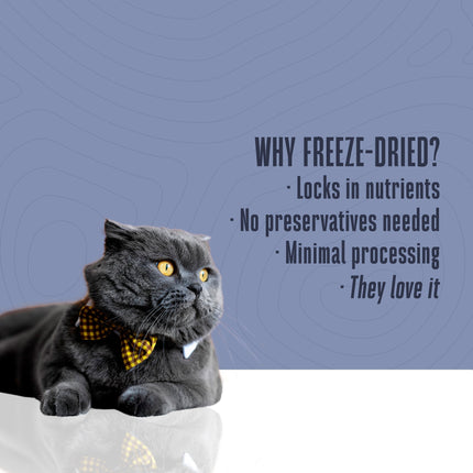 Just One Salmon Cat Treats – Human Grade, Picky Eater Approved, Made in Our Own Kitchens