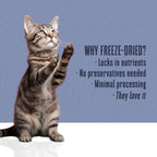 Just One Beef Cat Treats – Human Grade, Picky Eater Approved, Made in Our Own Kitchens