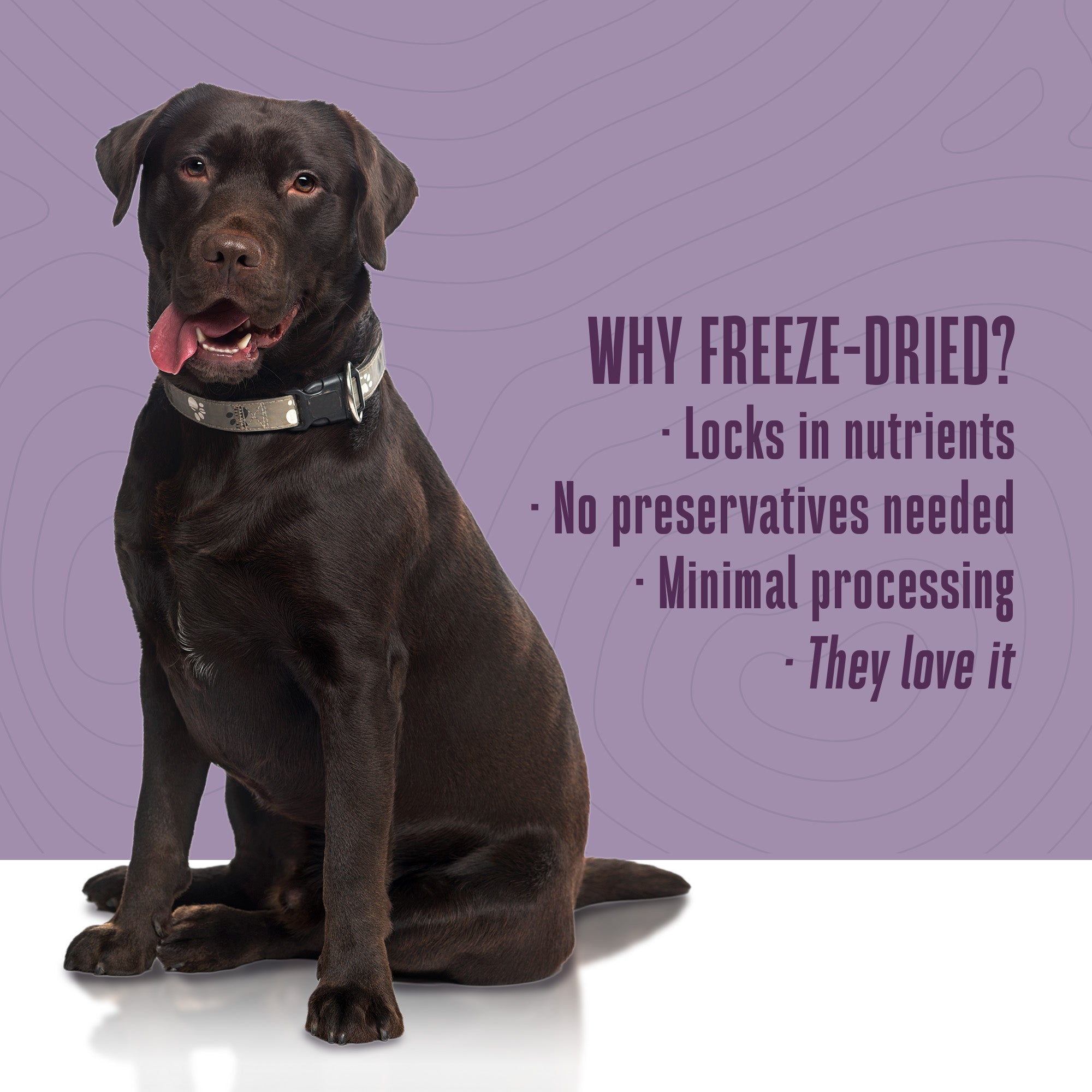 Tuscan Blend Whole Food Meal Mixers For Dogs:  Human Grade - Made in Our Own Kitchens