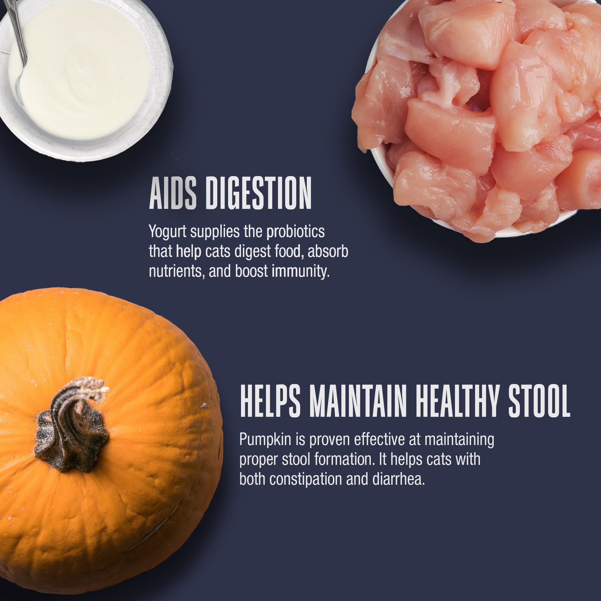 Nature’s Remedy Healthy Gut & Digestive Support.  Human-Grade, Grain-Free, Whole Food Supplement for Cats - Made in Our Own Kitchens