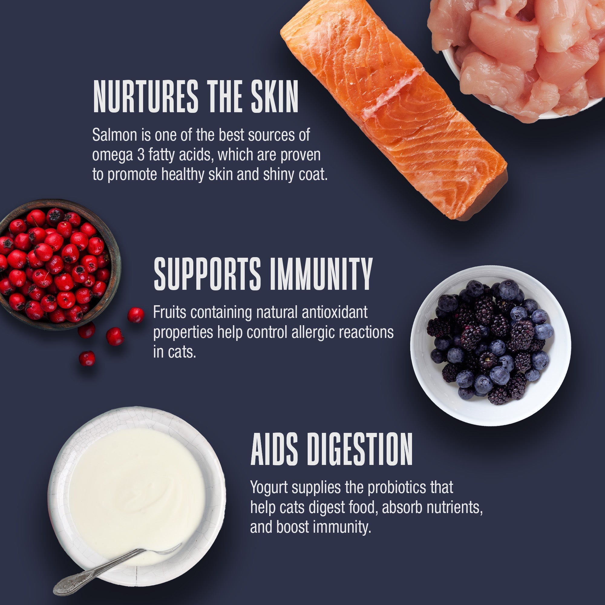 Hydrating Snack and Meal Complement For Cats – Healthy Skin Pâté