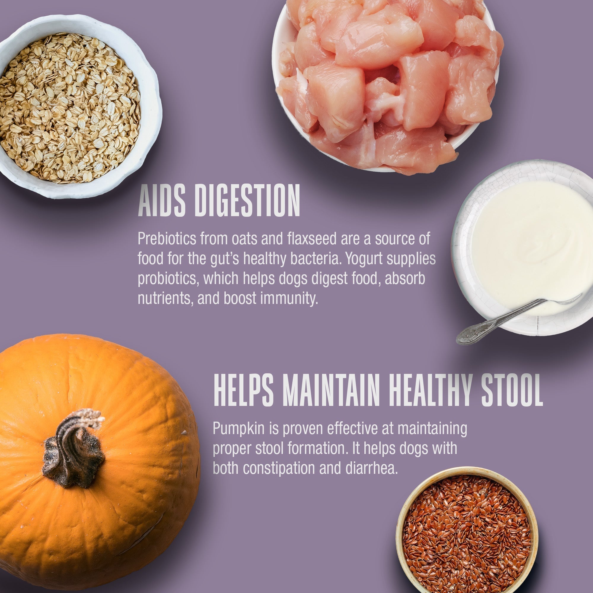 Nature’s Remedy Healthy Gut & Digestive Support.  Human-Grade, Grain-Free, Whole Food Supplement for Dogs - Made in Our Own Kitchens