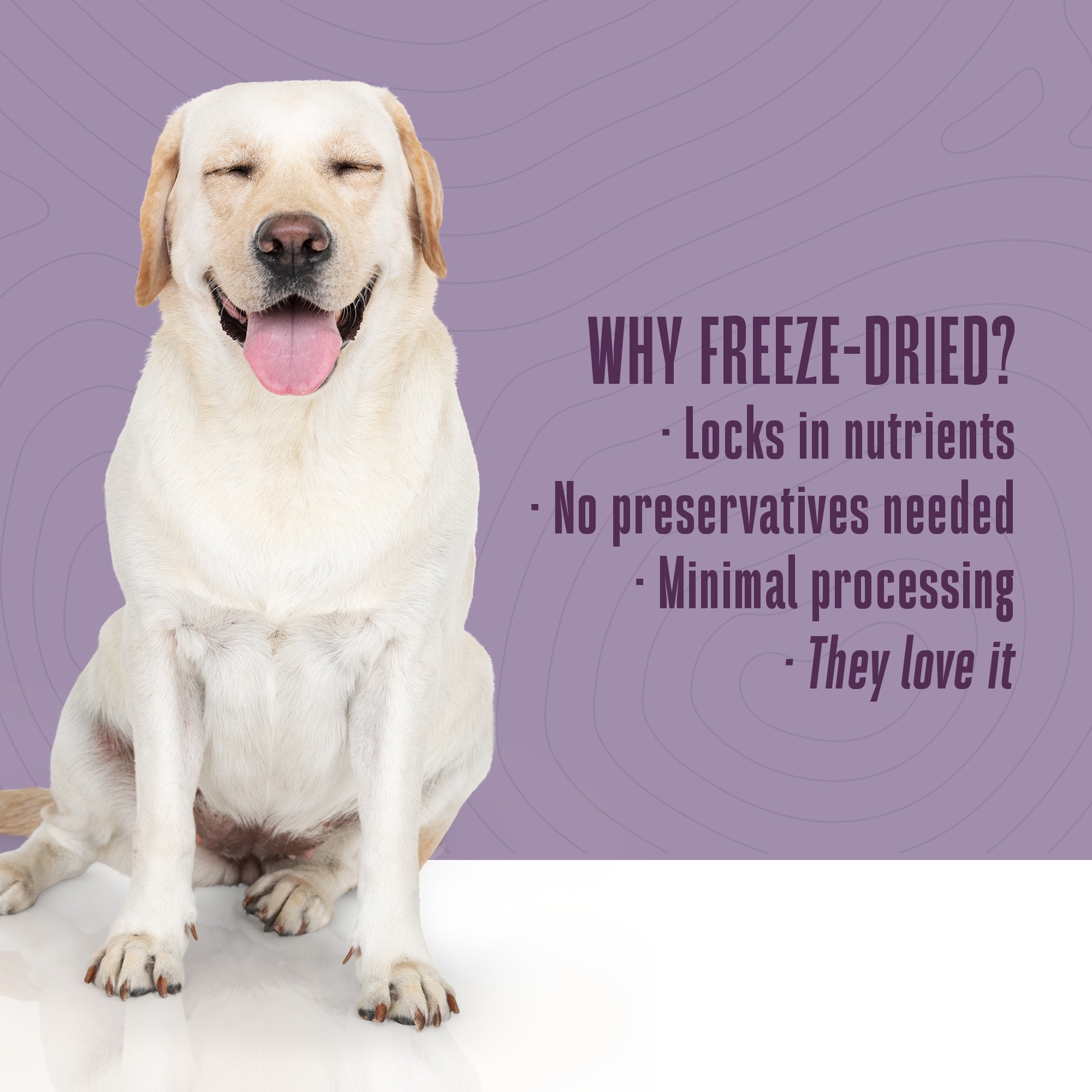 Living Treats – Pumpkin and Yogurt Recipe Probiotic Treats For Dogs.  Human Grade and Grain Free - Made In Our Own Kitchen