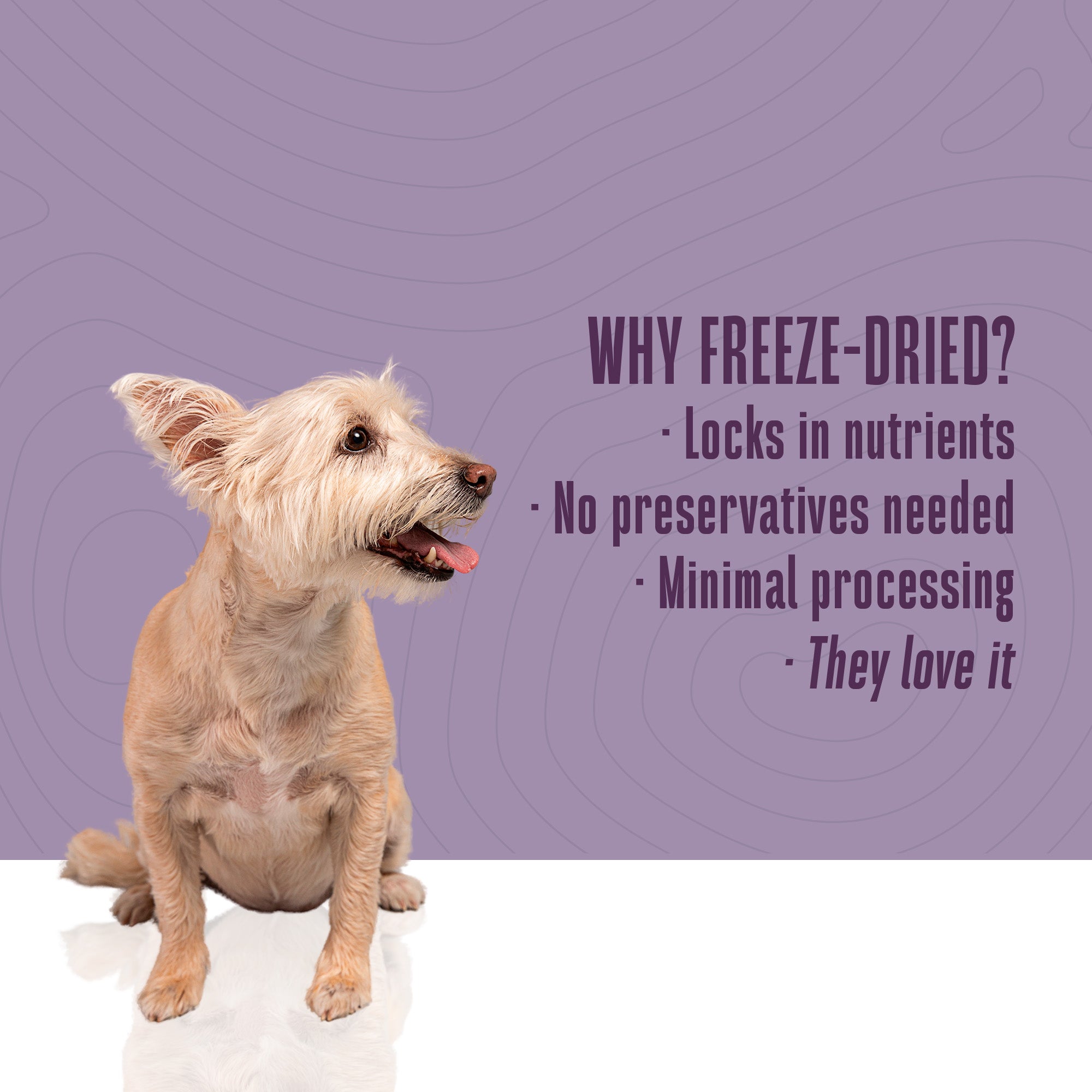 Nature’s Remedy Whole Body Health Support.  Human-Grade, Grain-Free, Whole Food Supplement for Dogs - Made in Our Own Kitchens