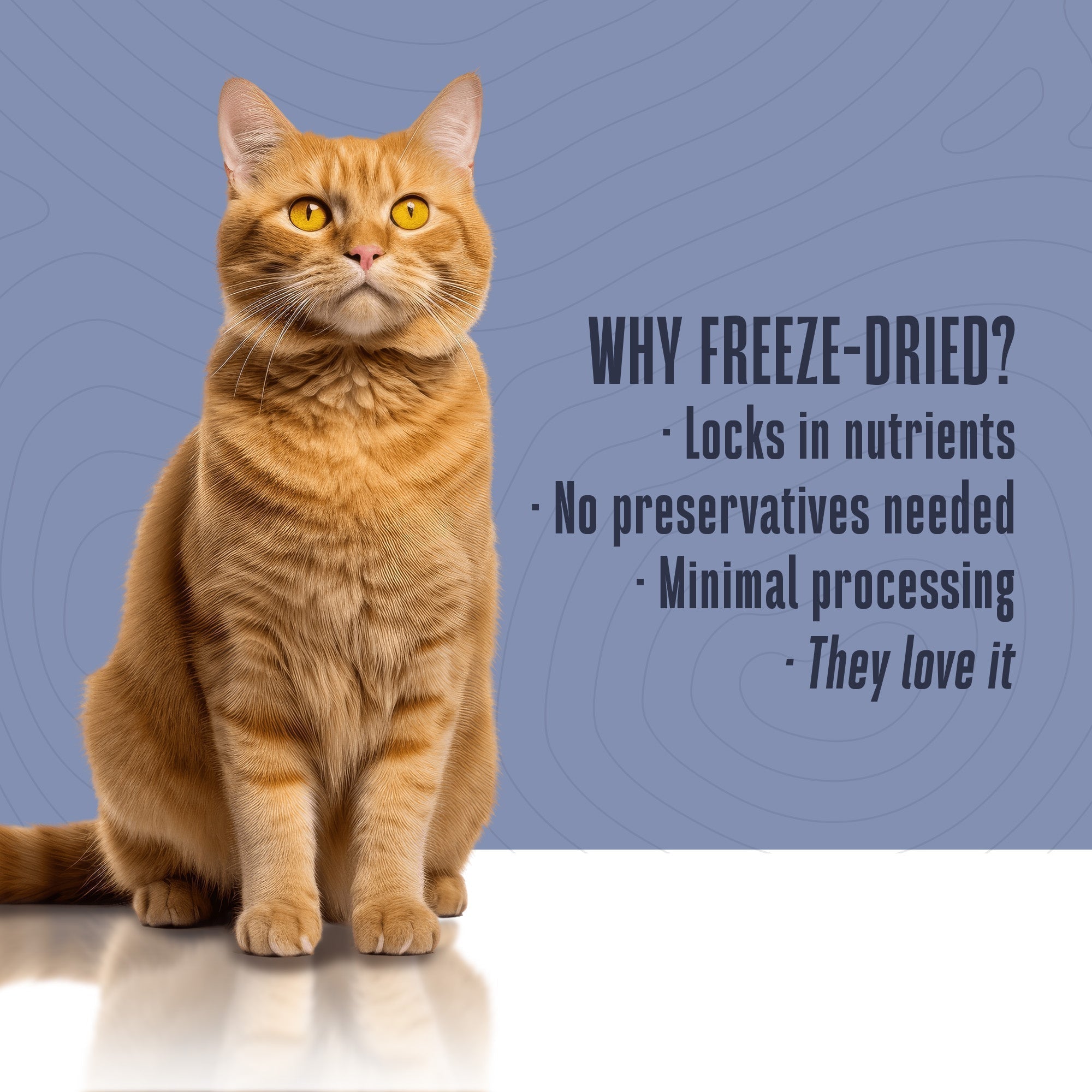 Nature’s Remedy Healthy Skin & Allergy Support.  Human-Grade, Grain-Free, Whole Food Supplement for Cats - Made in Our Own Kitchens