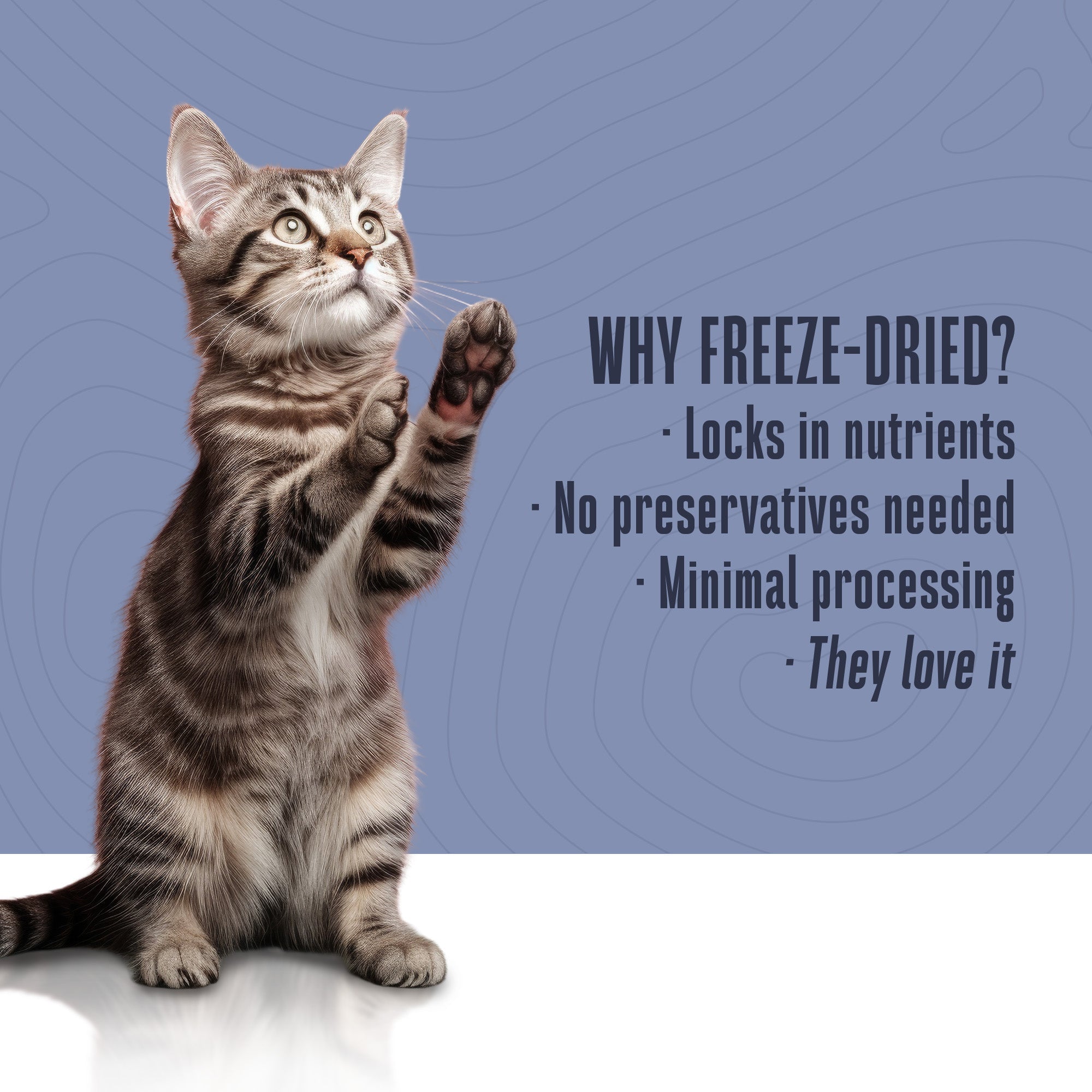 Hydrating Snack and Meal Complement For Cats – Shredded Chicken Chunks in Gravy