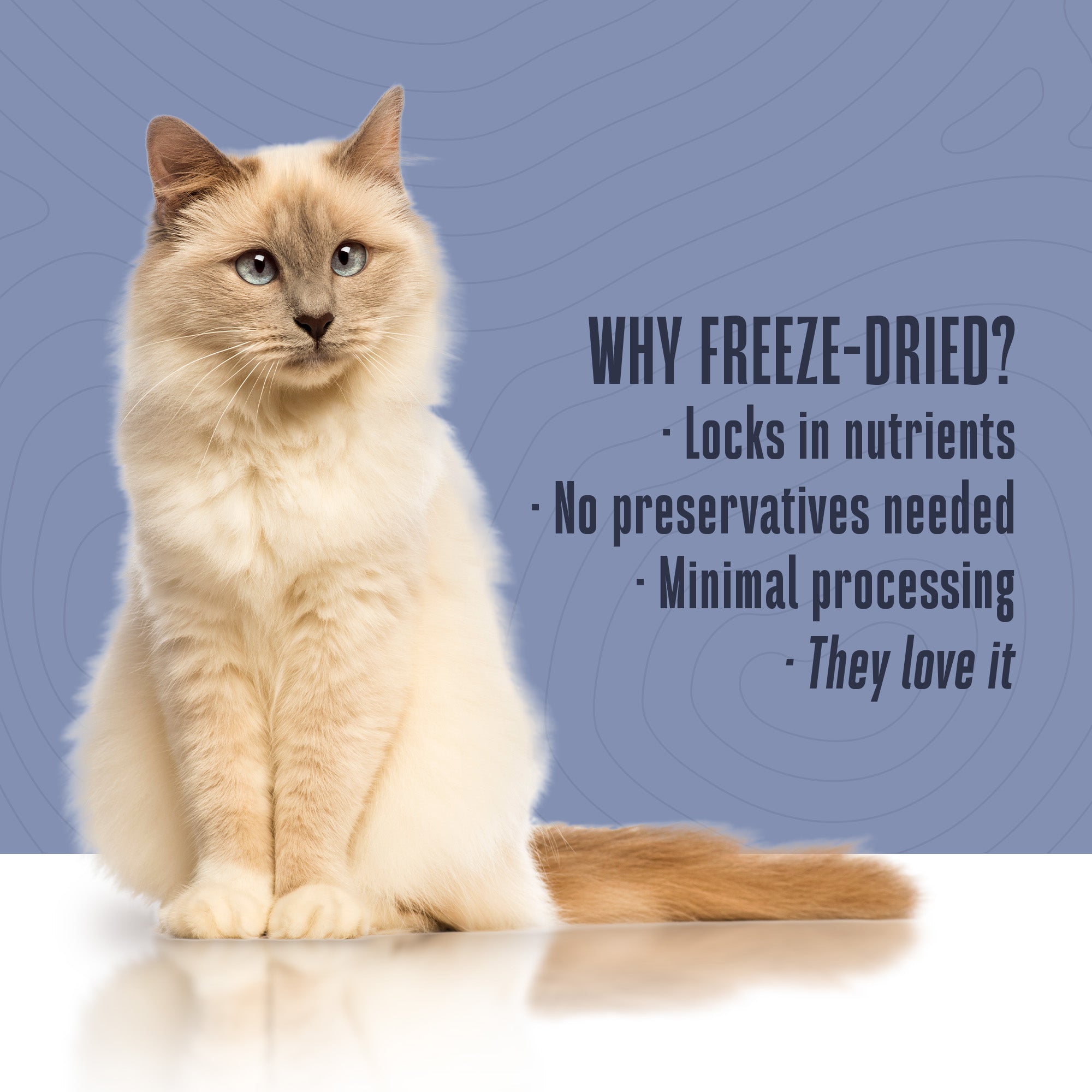 Nature’s Remedy Chicken & Rice for Cats.  Human-Grade Interim Diet for Stomach Upset - Made in Our Own Kitchens