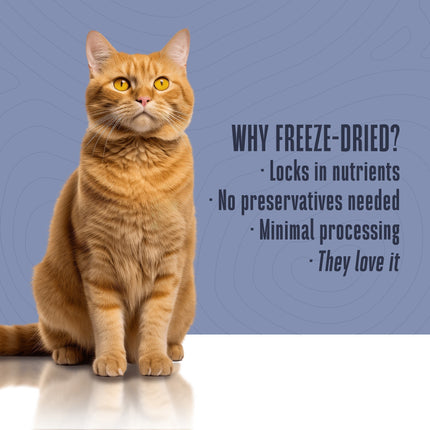 Hydrating Snack and Meal Complement For Cats – Healthy Skin Pâté