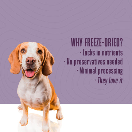 Living Treats – Peanut Butter and Yogurt Recipe Probiotic Treats For Dogs.  Human Grade and Grain Free - Made In Our Own Kitchen