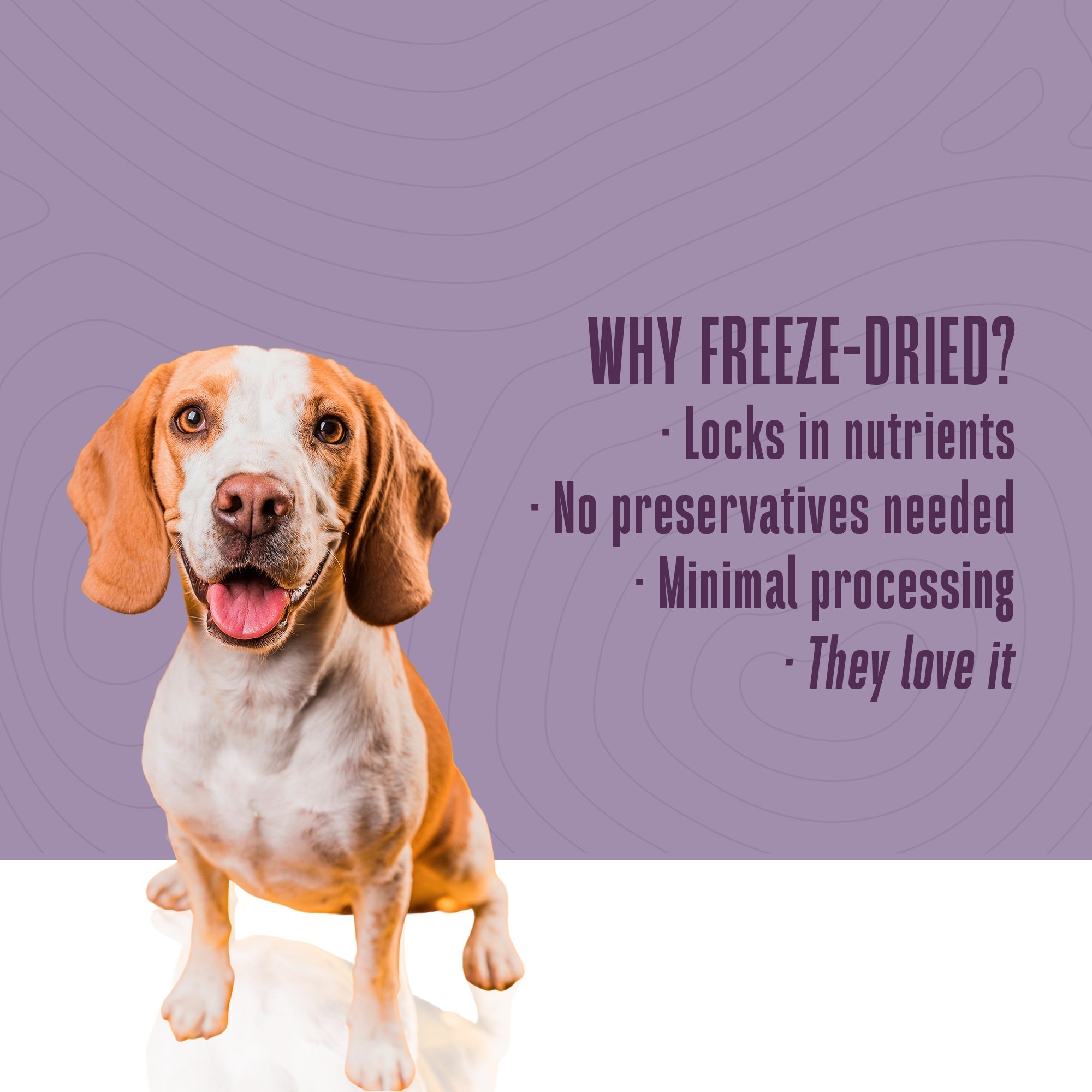 Living Treats – Peanut Butter and Yogurt Recipe Probiotic Treats For Dogs.  Human Grade and Grain Free - Made In Our Own Kitchen