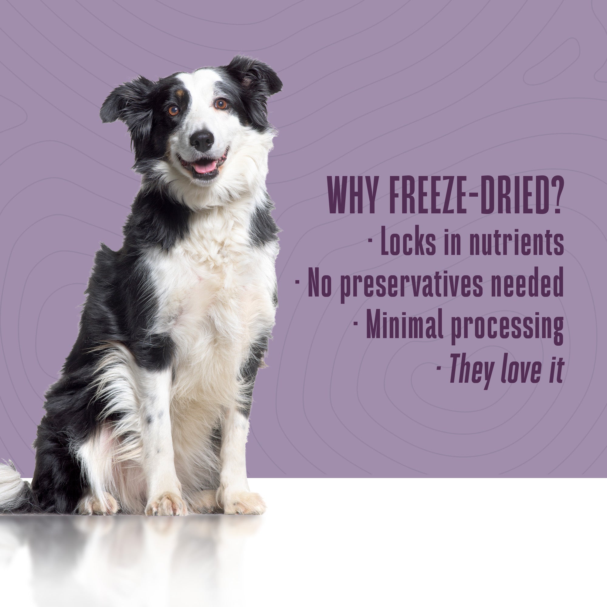 Nature’s Remedy Healthy Skin & Allergy Support.  Human-Grade, Grain-Free, Whole Food Supplement for Dogs - Made in Our Own Kitchens