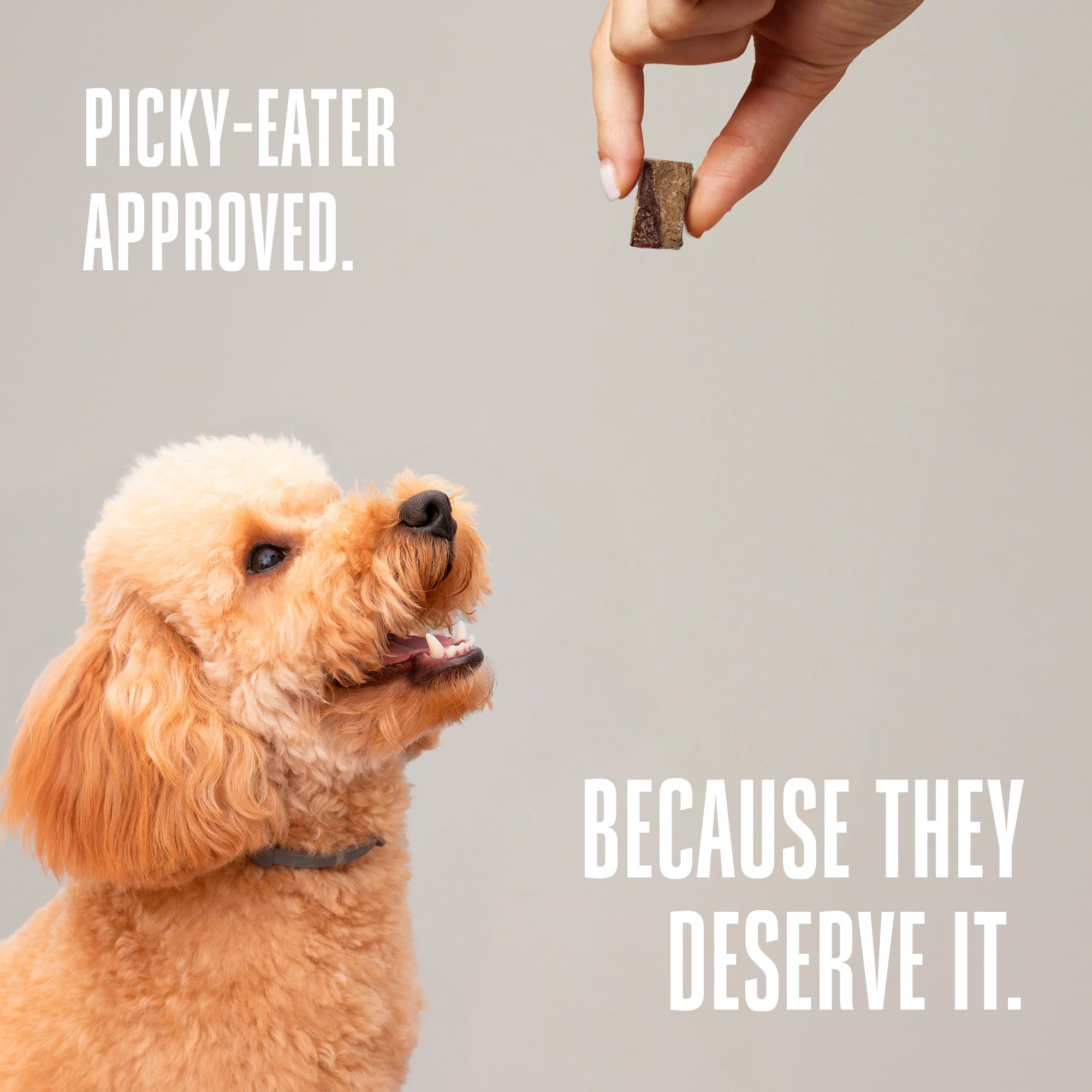 Just One Ingredient Beef Liver Treats For Dogs.  Human Grade and Grain Free - Made In Our Own Kitchen