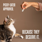 Just One Chicken Cat Treats – Human Grade, Picky Eater Approved, Made in Our Own Kitchens