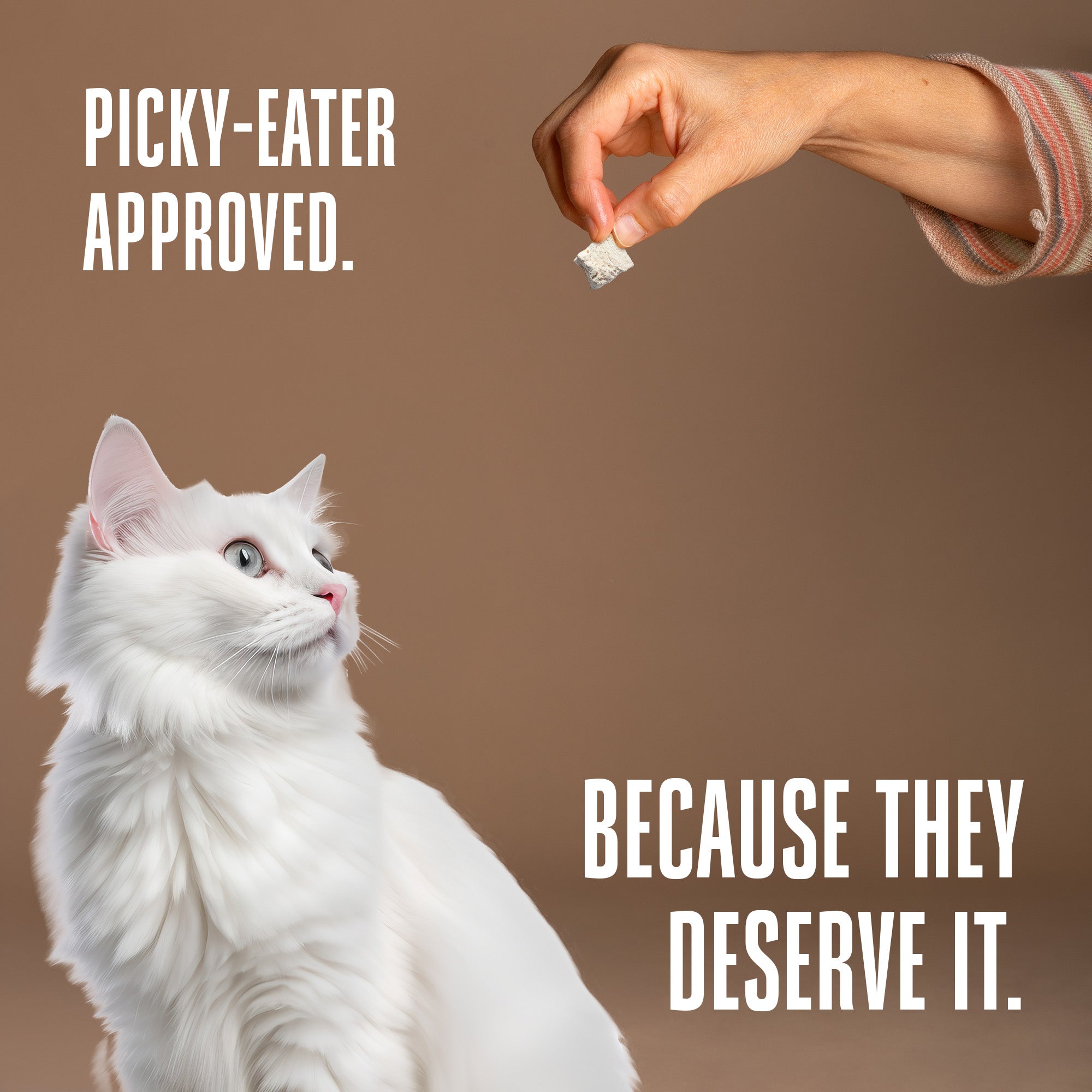 Just One Turkey Cat Treats – Human Grade, Picky Eater Approved, Made in Our Own Kitchens
