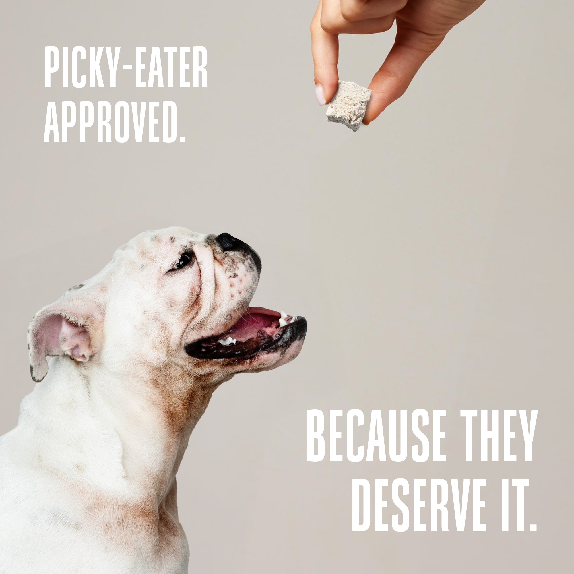 Just One Ingredient Turkey Treats For Dogs.  Human Grade and Grain Free - Made In Our Own Kitchen