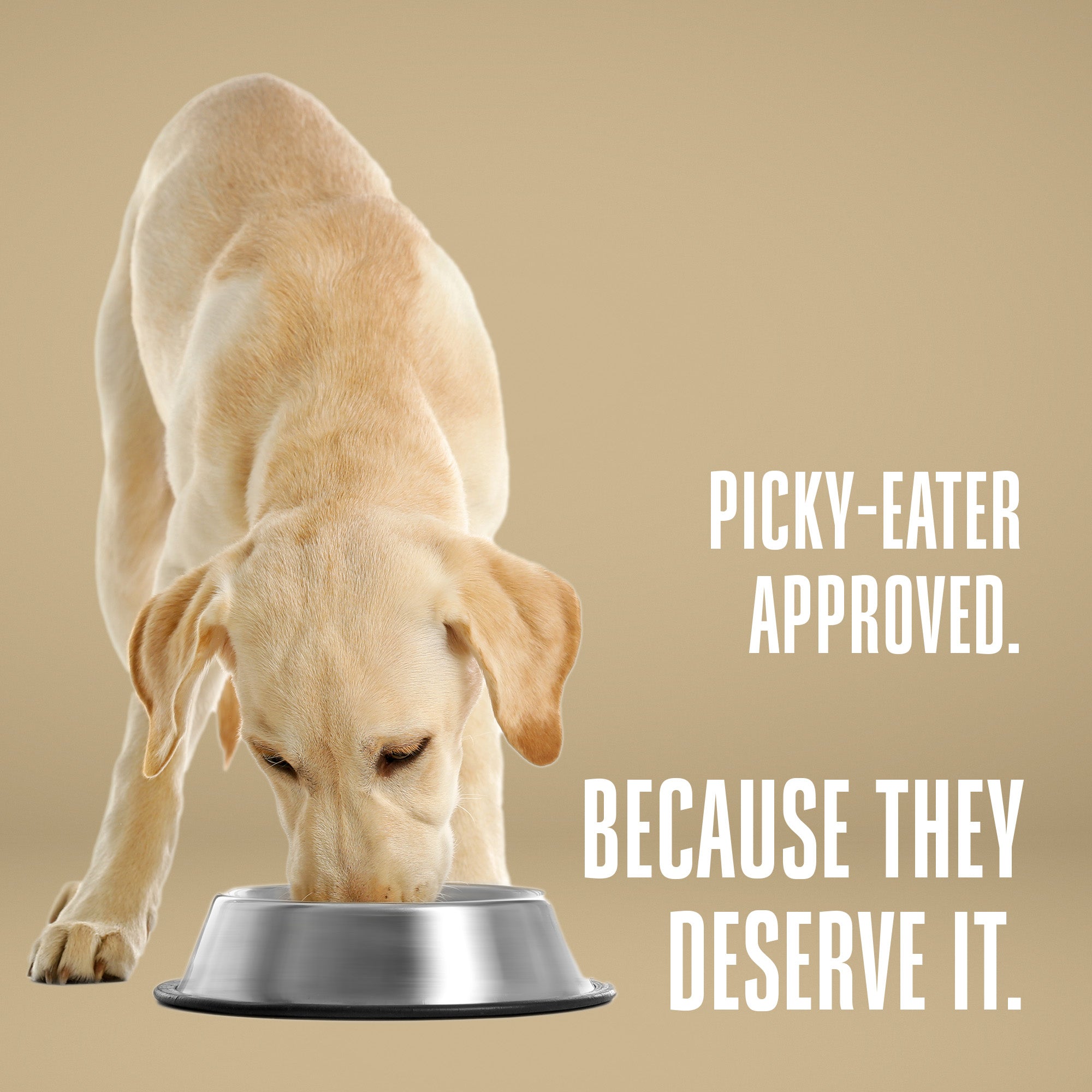 Tuscan Blend Whole Food Meal Mixers For Dogs:  Human Grade - Made in Our Own Kitchens