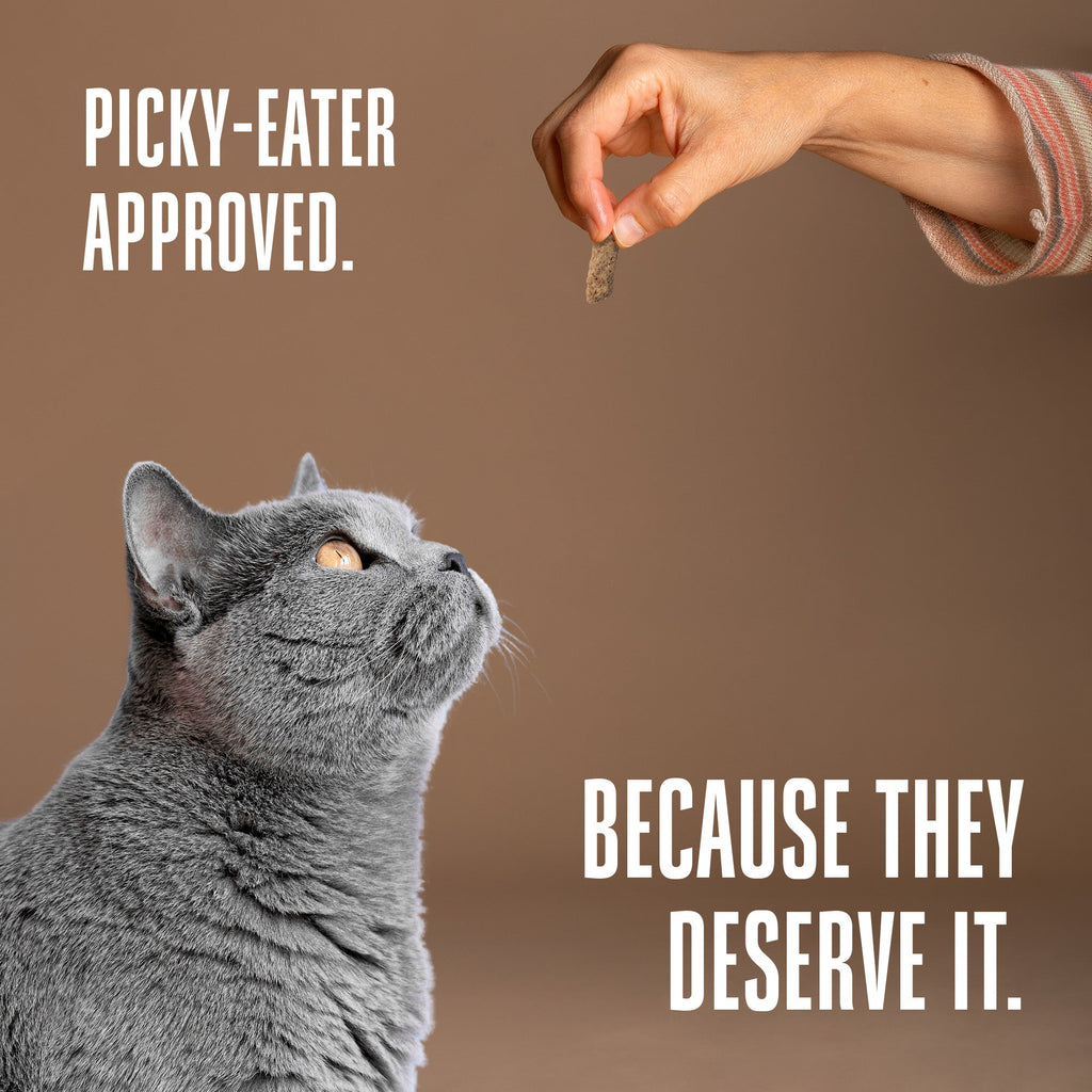 Just One Beef Cat Treats – Human Grade, Picky Eater Approved, Made in Our Own Kitchens