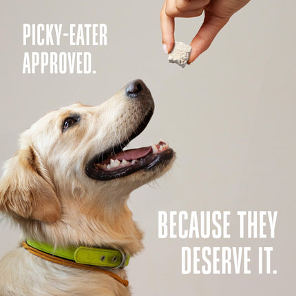 Just One Ingredient Variety Pack for Dogs:  Human Grade and Grain Free - Made In Our Own Kitchen. Save 10% + Free Shipping