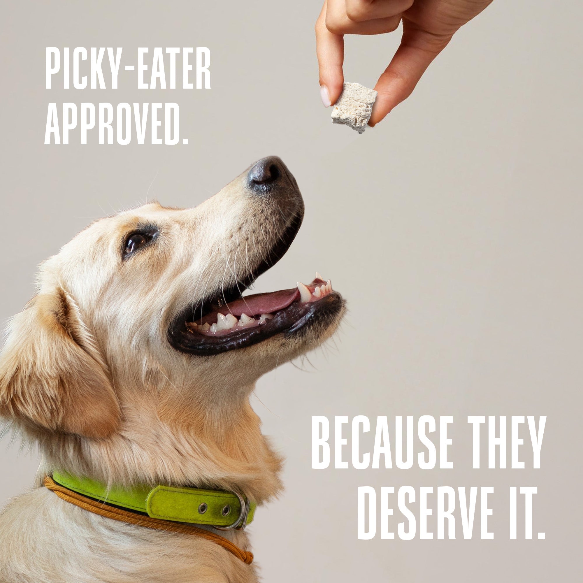 Just One Ingredient Variety Pack for Dogs:  Human Grade and Grain Free - Made In Our Own Kitchen. Save 10% + Free Shipping