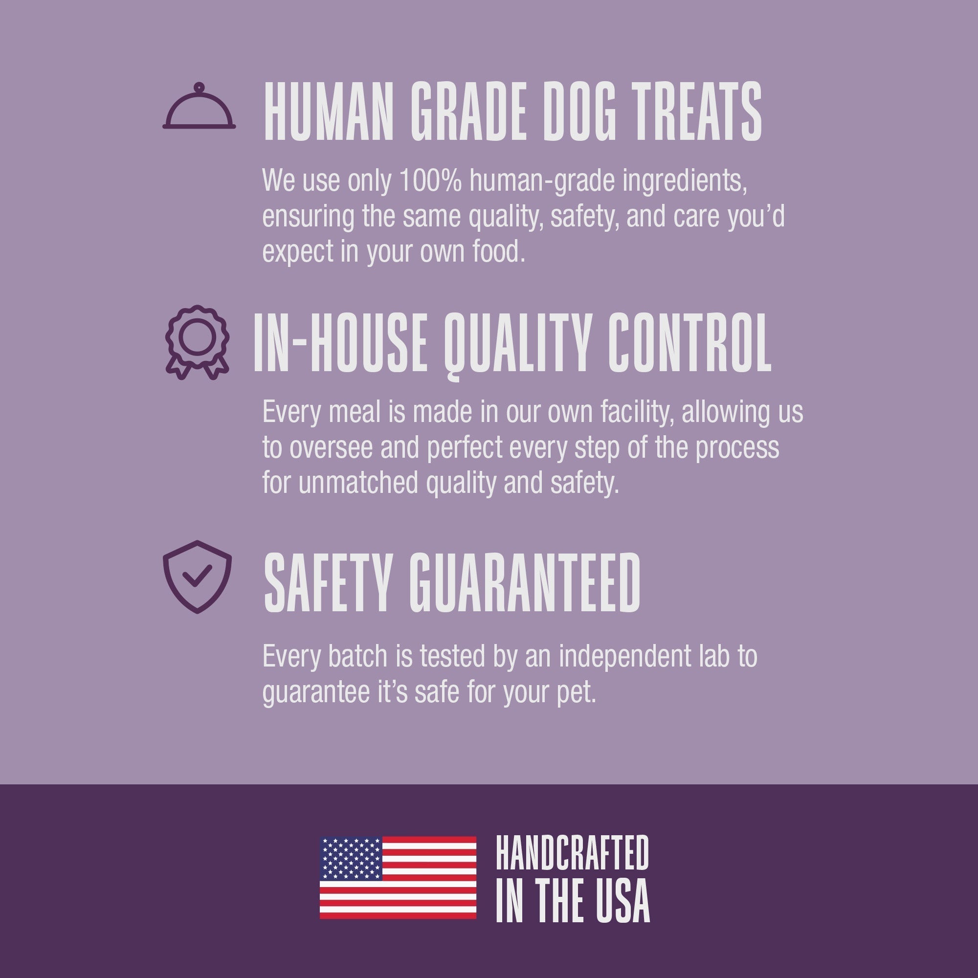 Living Treats – Pumpkin and Yogurt Recipe Probiotic Treats For Dogs.  Human Grade and Grain Free - Made In Our Own Kitchen