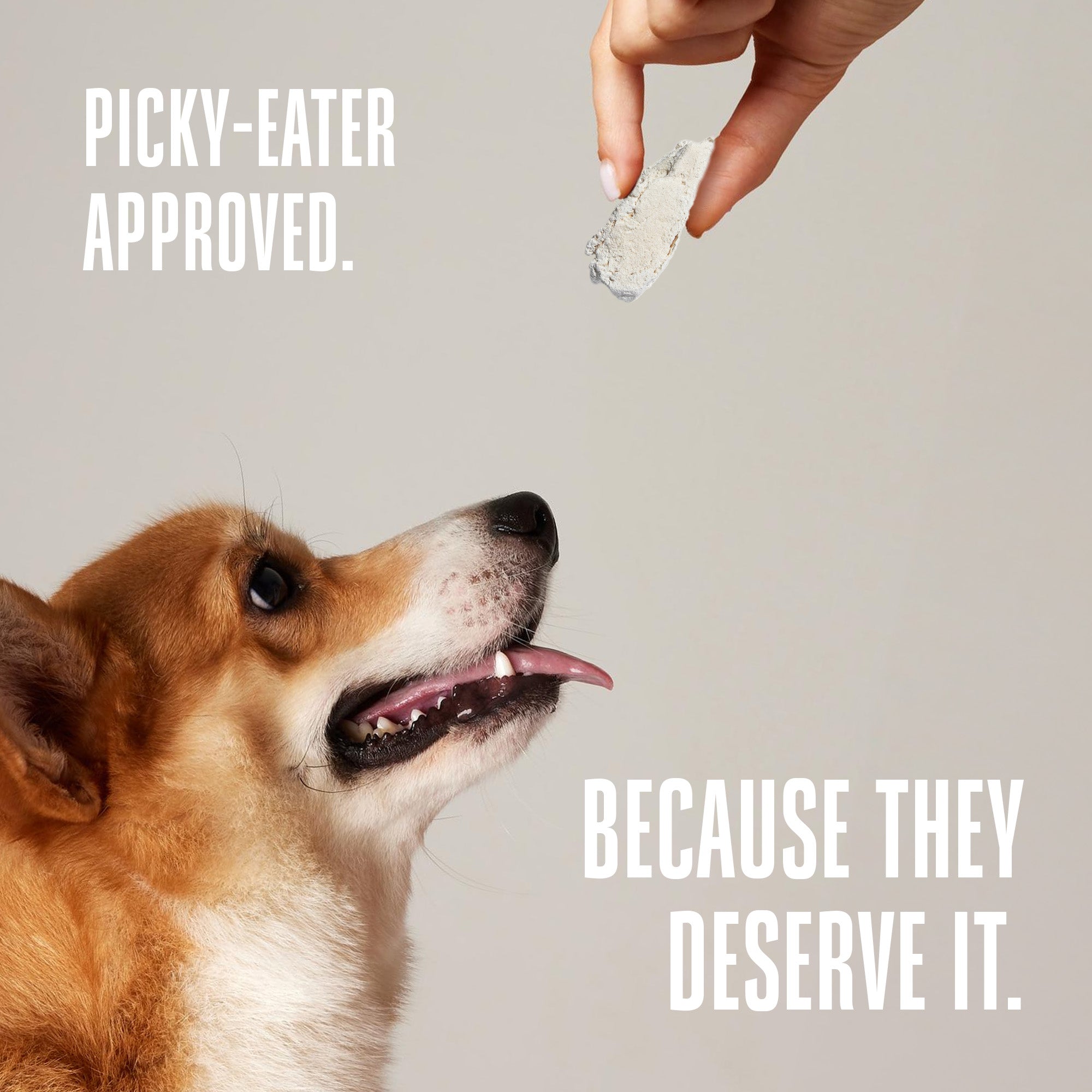 Just One Ingredient Chicken Treats For Dogs.  Human Grade and Grain Free - Made In Our Own Kitchen