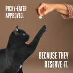 Just One Ingredient Variety Pack for Cats: Made In Our Own Kitchen.  Save 10% + Free Shipping