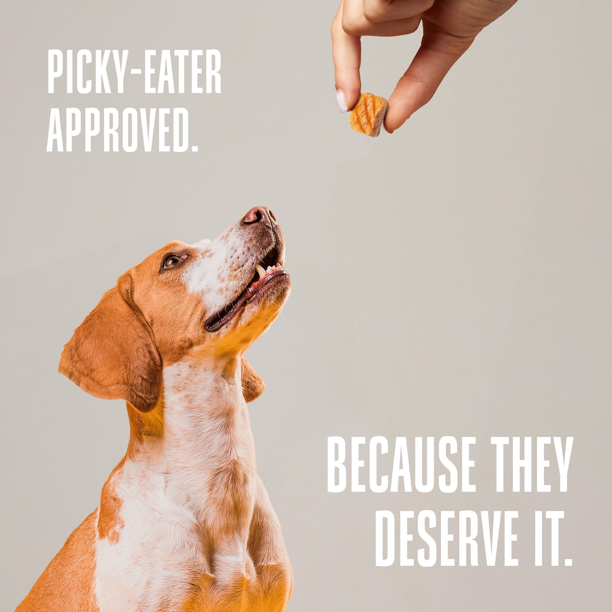 Just One Ingredient Salmon Treats For Dogs.  Human Grade and Grain Free - Made In Our Own Kitchen