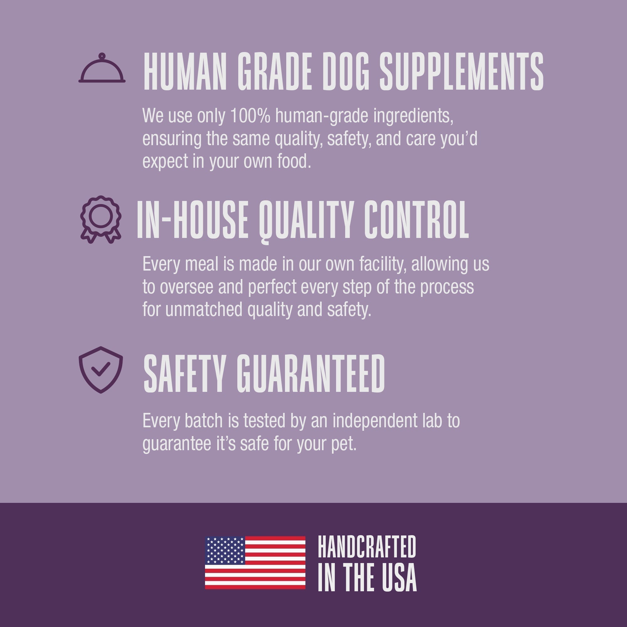 Nature’s Remedy Healthy Skin & Allergy Support.  Human-Grade, Grain-Free, Whole Food Supplement for Dogs - Made in Our Own Kitchens