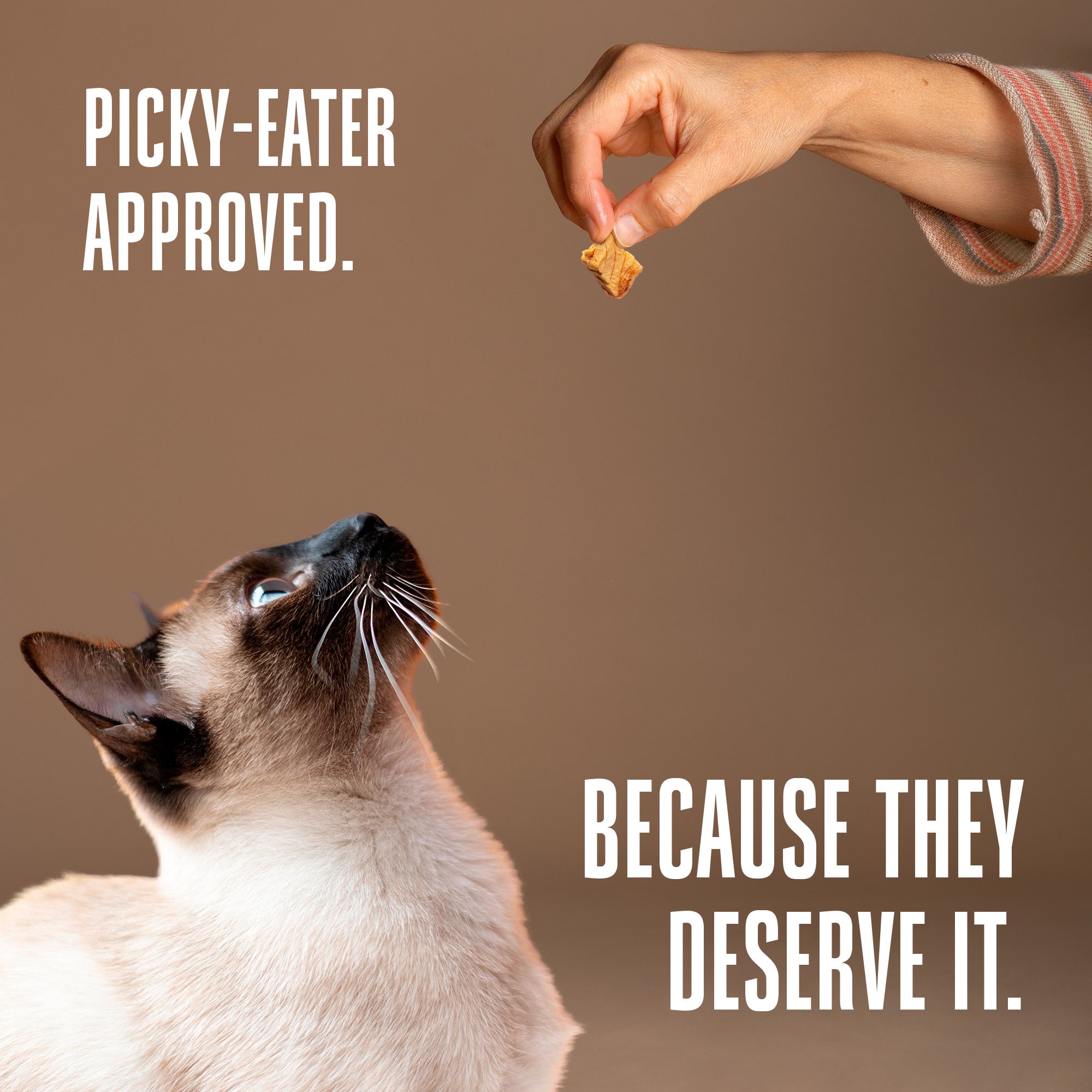 Just One Salmon Cat Treats – Human Grade, Picky Eater Approved, Made in Our Own Kitchens